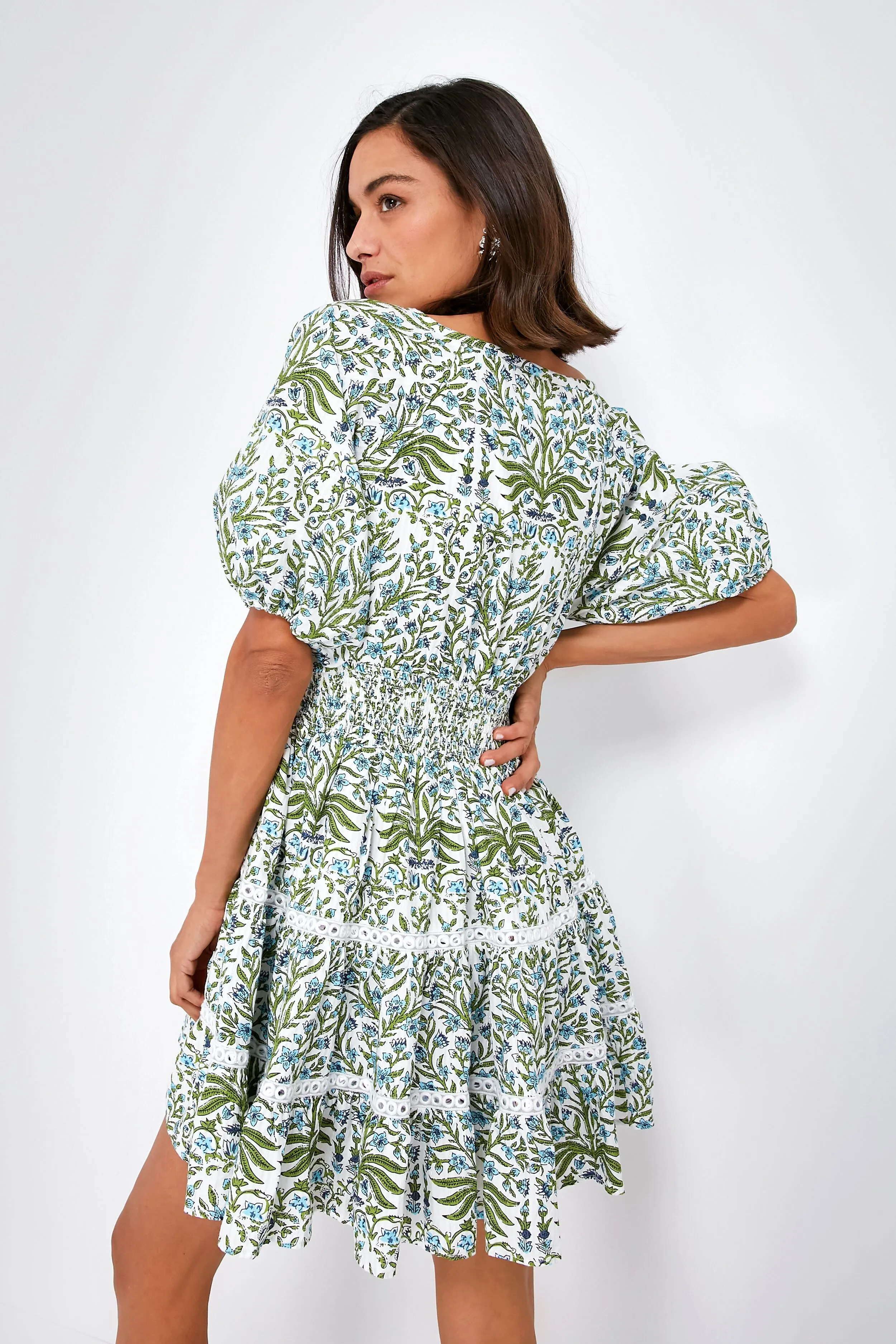 Bluebell Greyson Dress sold by Tuckernuck product image thumbnail 4