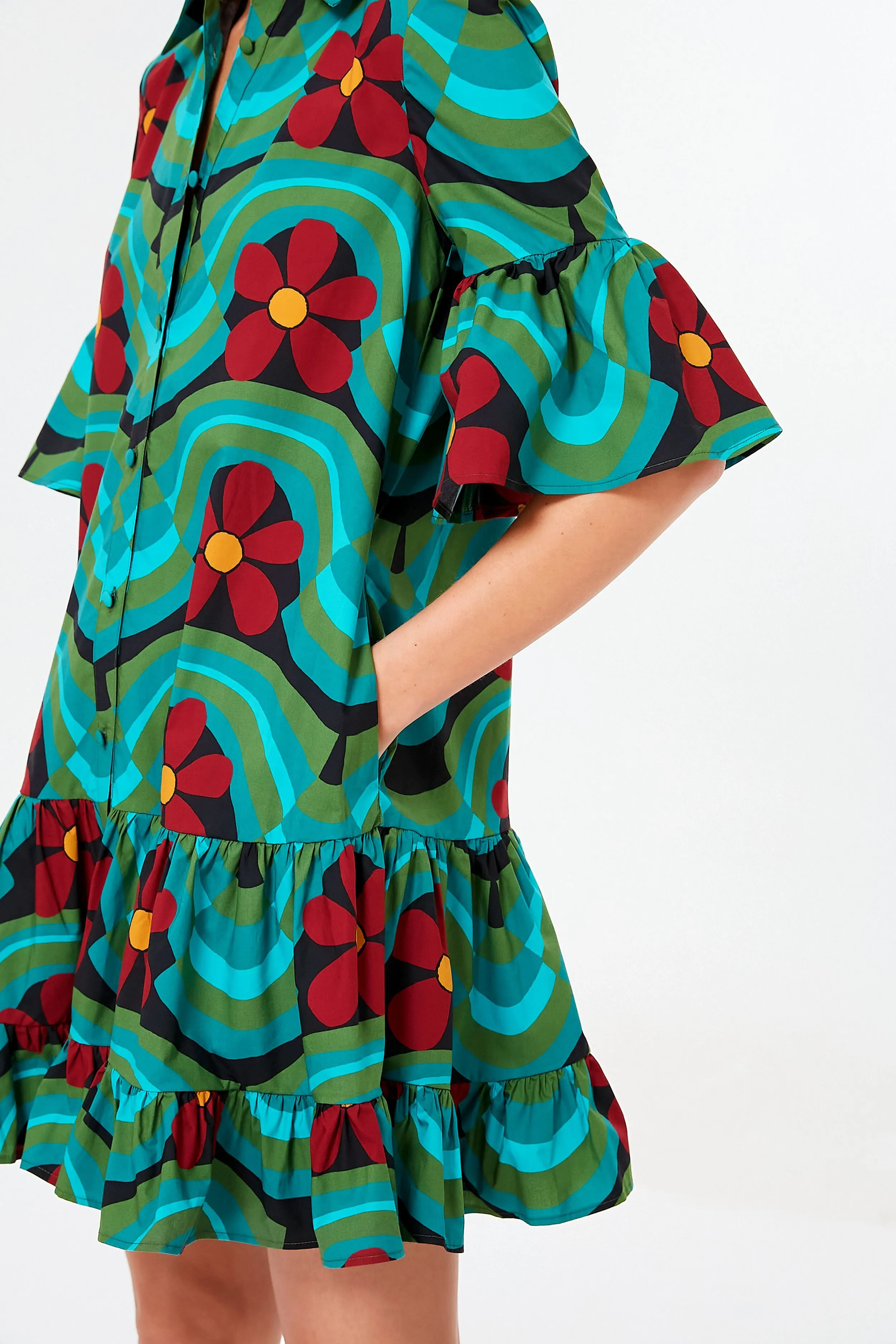 Ashbury Choux Dress sold by Tuckernuck product image thumbnail 5