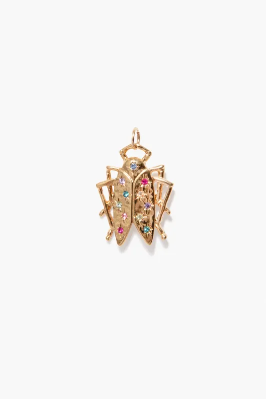 Rainbow Bug Charm made by Tuckernuck