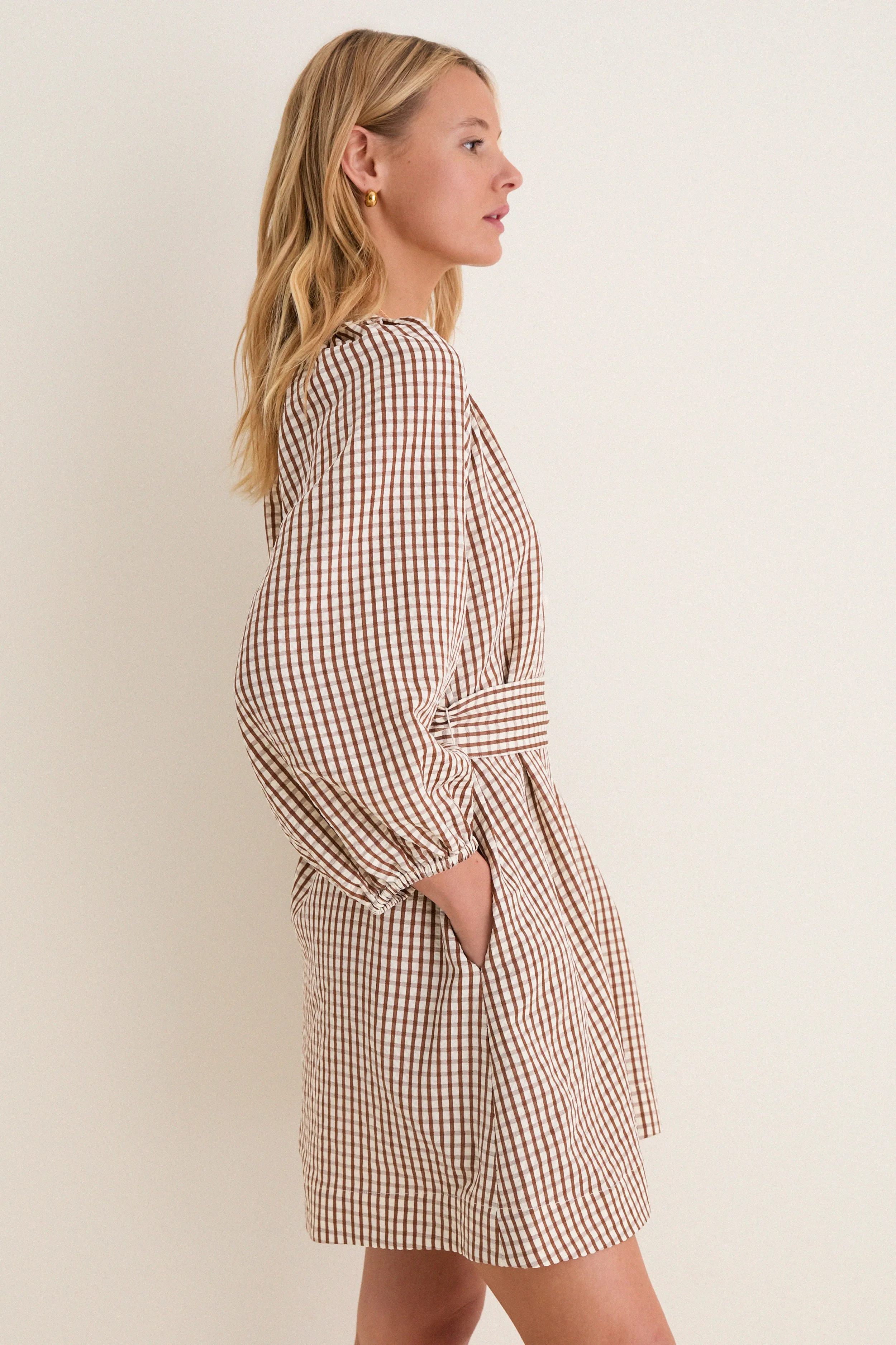 Brown Gingham Harlow Dress sold by Tuckernuck product image thumbnail 3