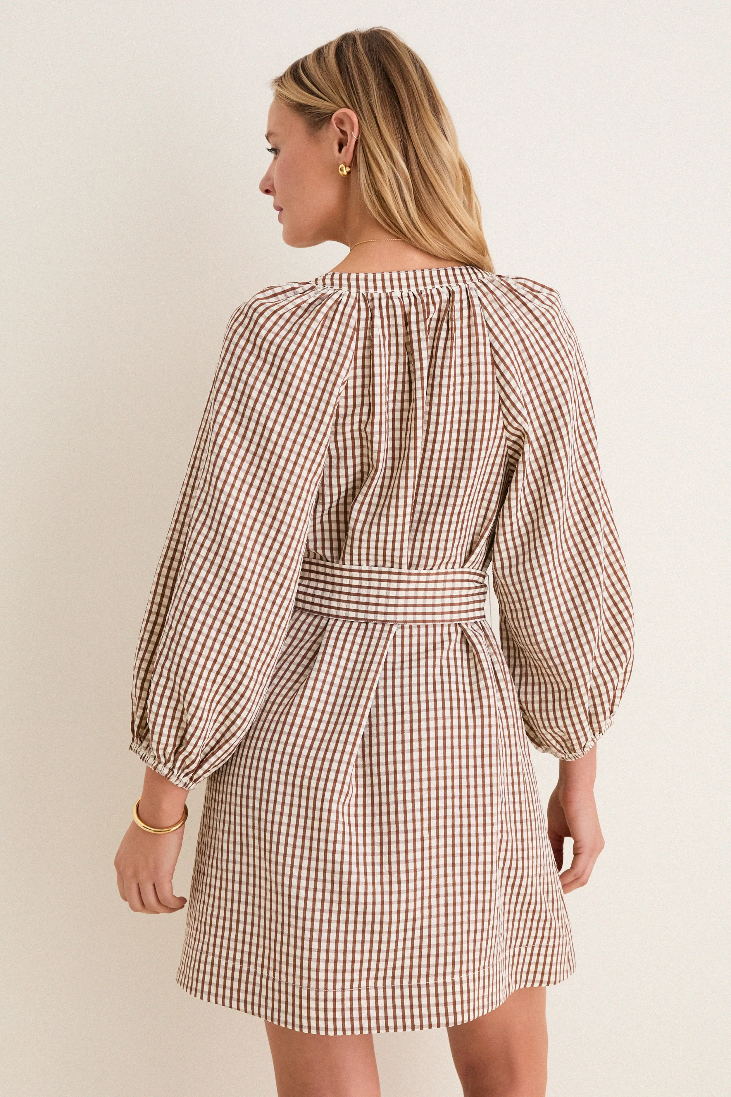 Brown Gingham Harlow Dress sold by Tuckernuck product image thumbnail 4