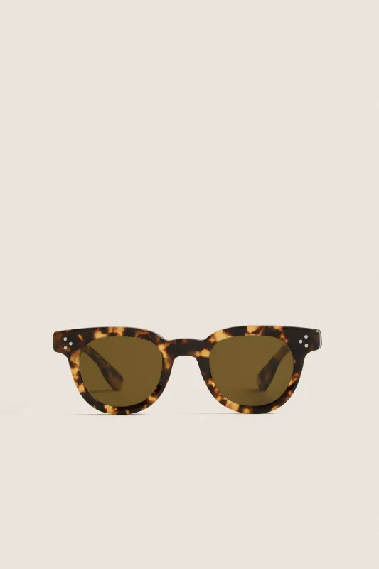 Nikko Tortoise Devon Sunglasses made by Tuckernuck