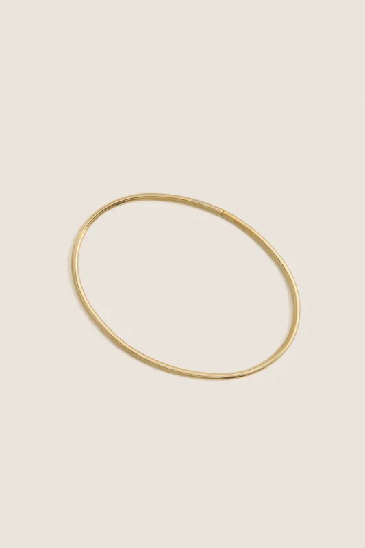 High Polish Gold Dane Anklet made by JENNY BIRD