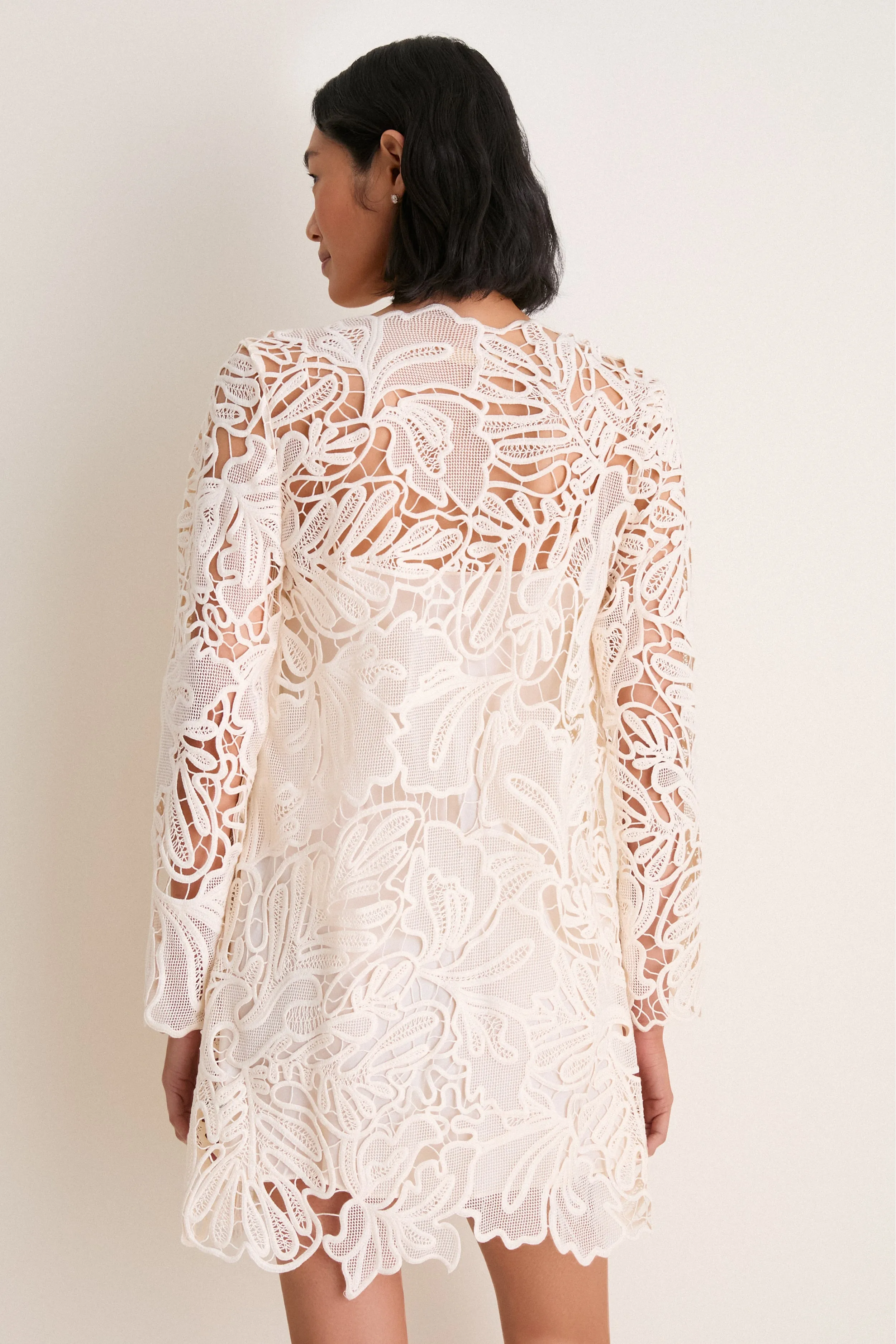 Chalk Dita Corded Lace Mini Dress sold by Tuckernuck product image thumbnail 4