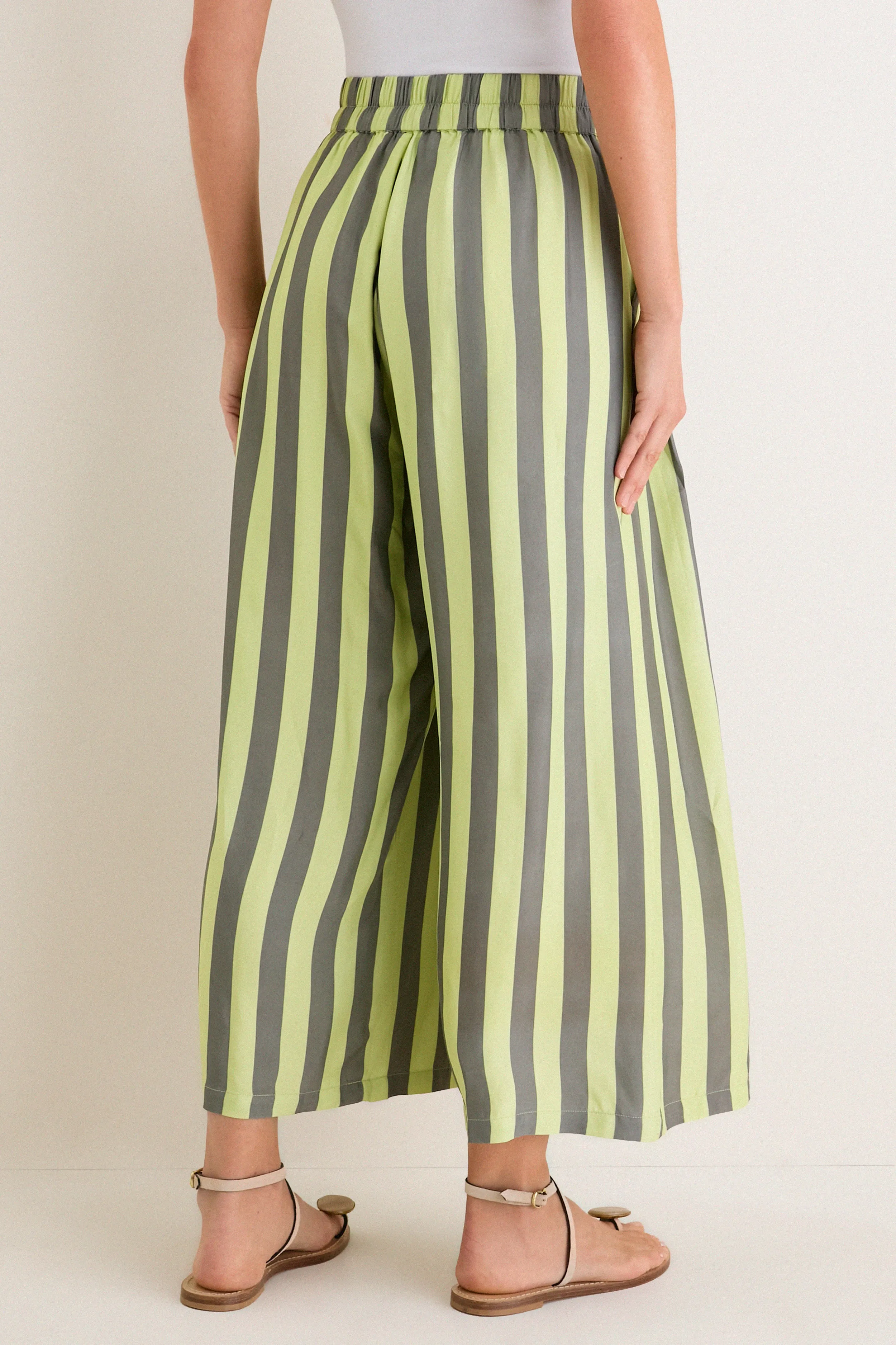 Evergreen Stripe Cyprus Pant sold by Tuckernuck product image thumbnail 4