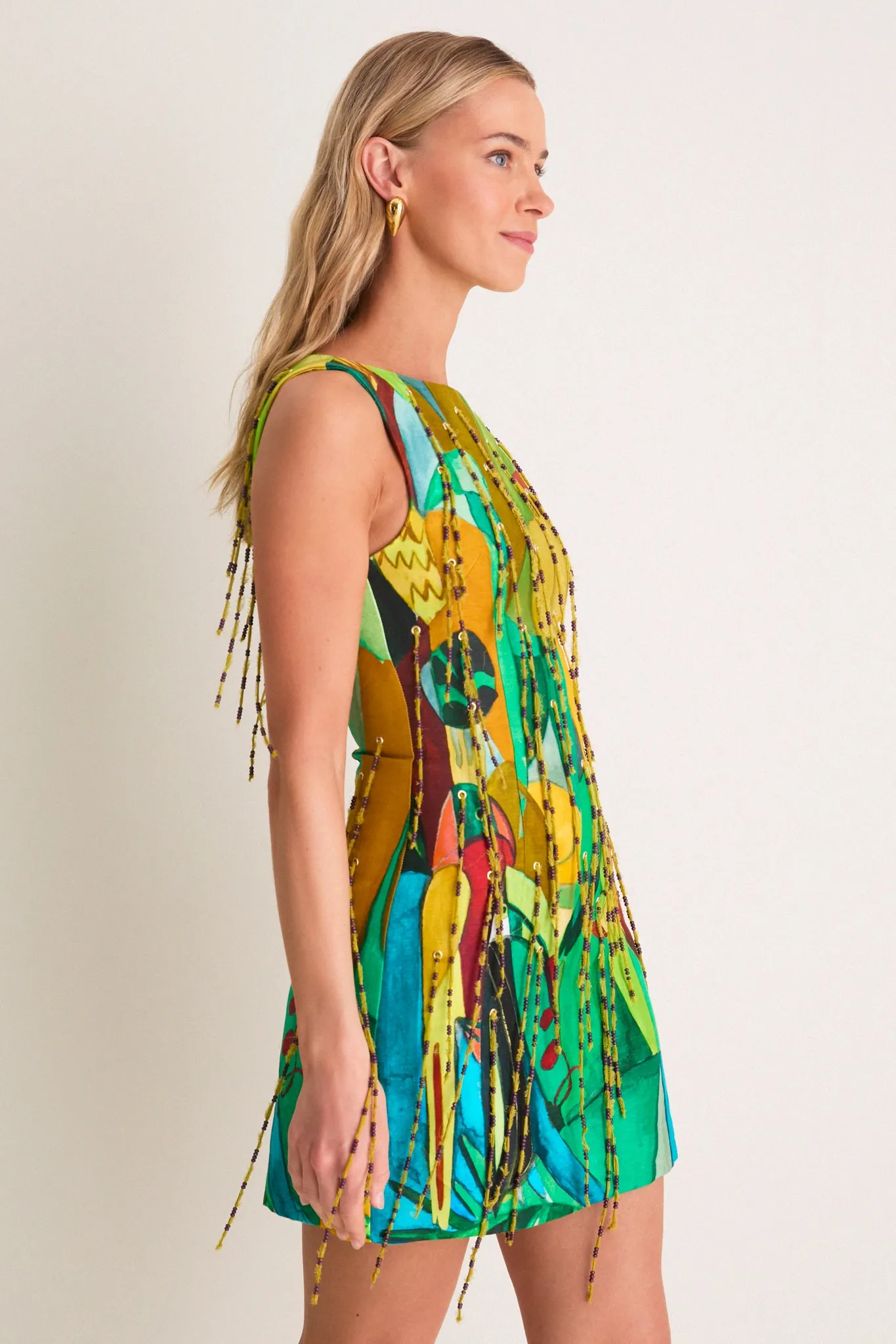 Multi Mokshini Beaded Fringe Mini Dress sold by Tuckernuck product image thumbnail 3