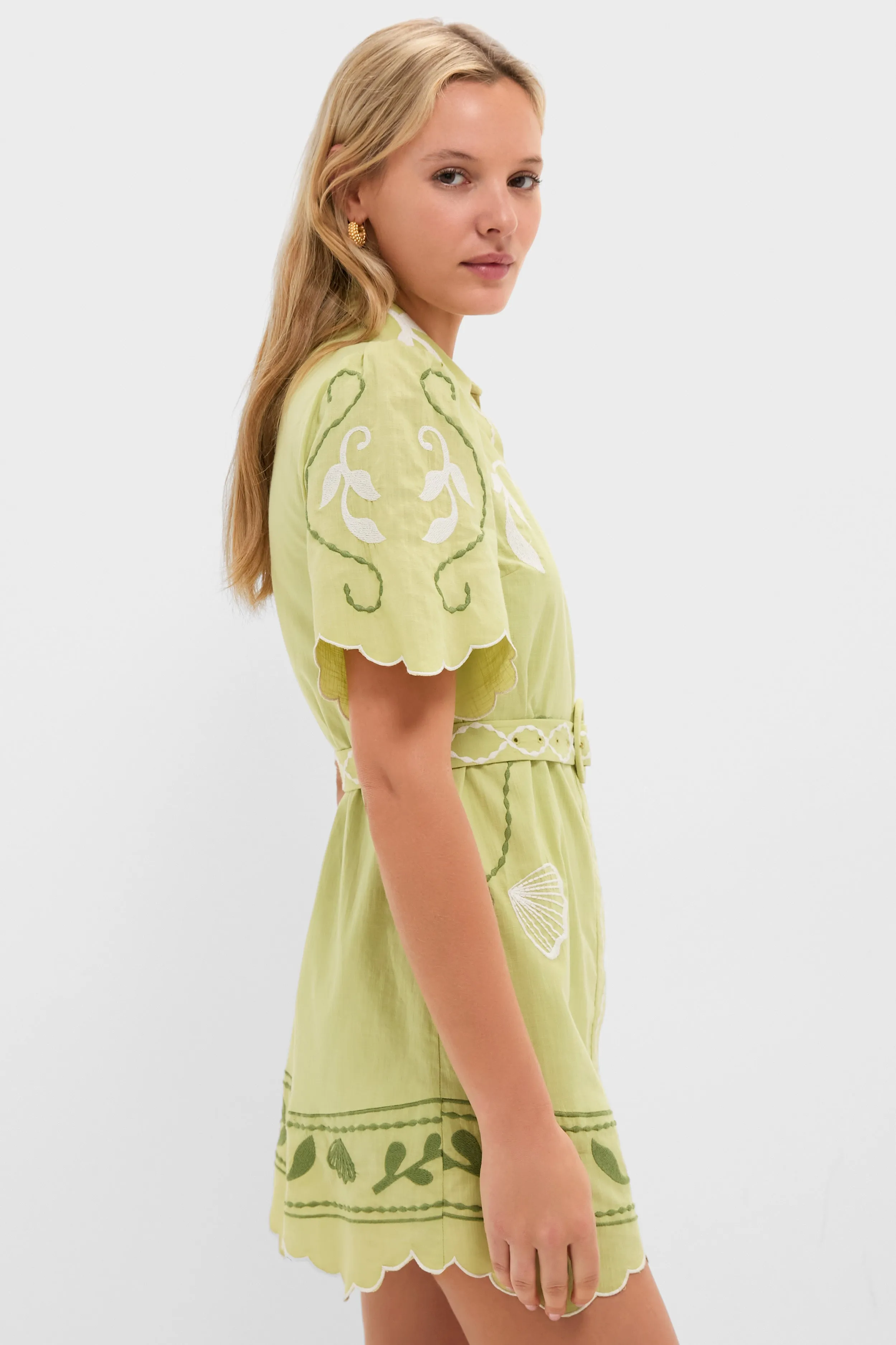 Pastel Mint Poppy Mini Dress sold by Tuckernuck product image thumbnail 3