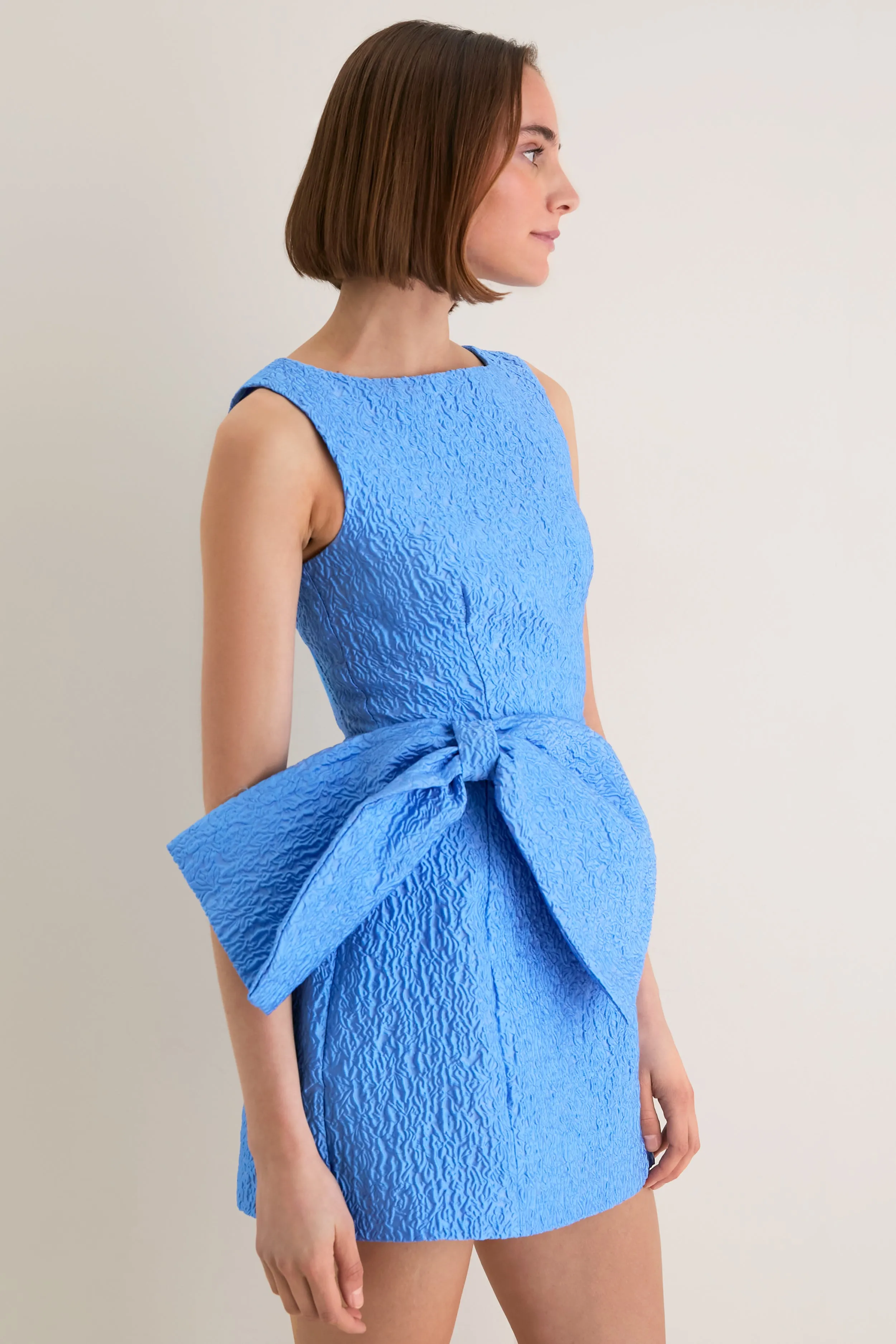 Blue Jacquard Briallen Bow Mini Dress sold by Tuckernuck product image thumbnail 3