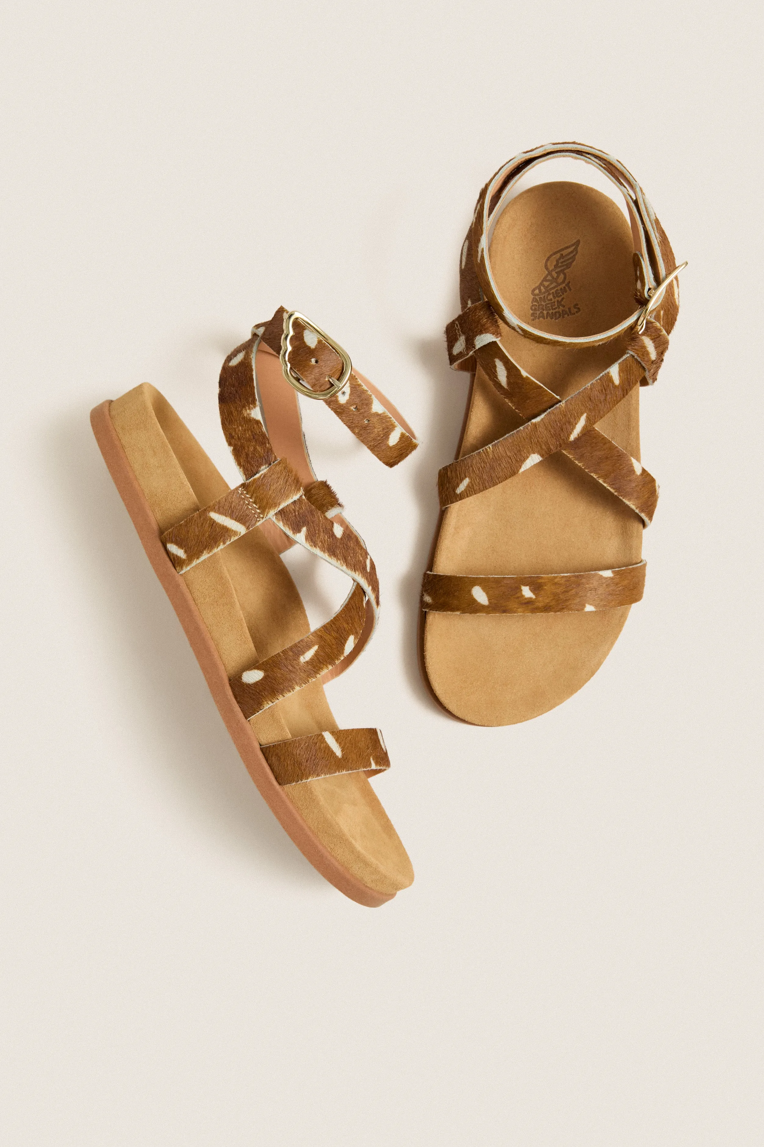 Bambi Zelina Sandals sold by Tuckernuck product image thumbnail 5