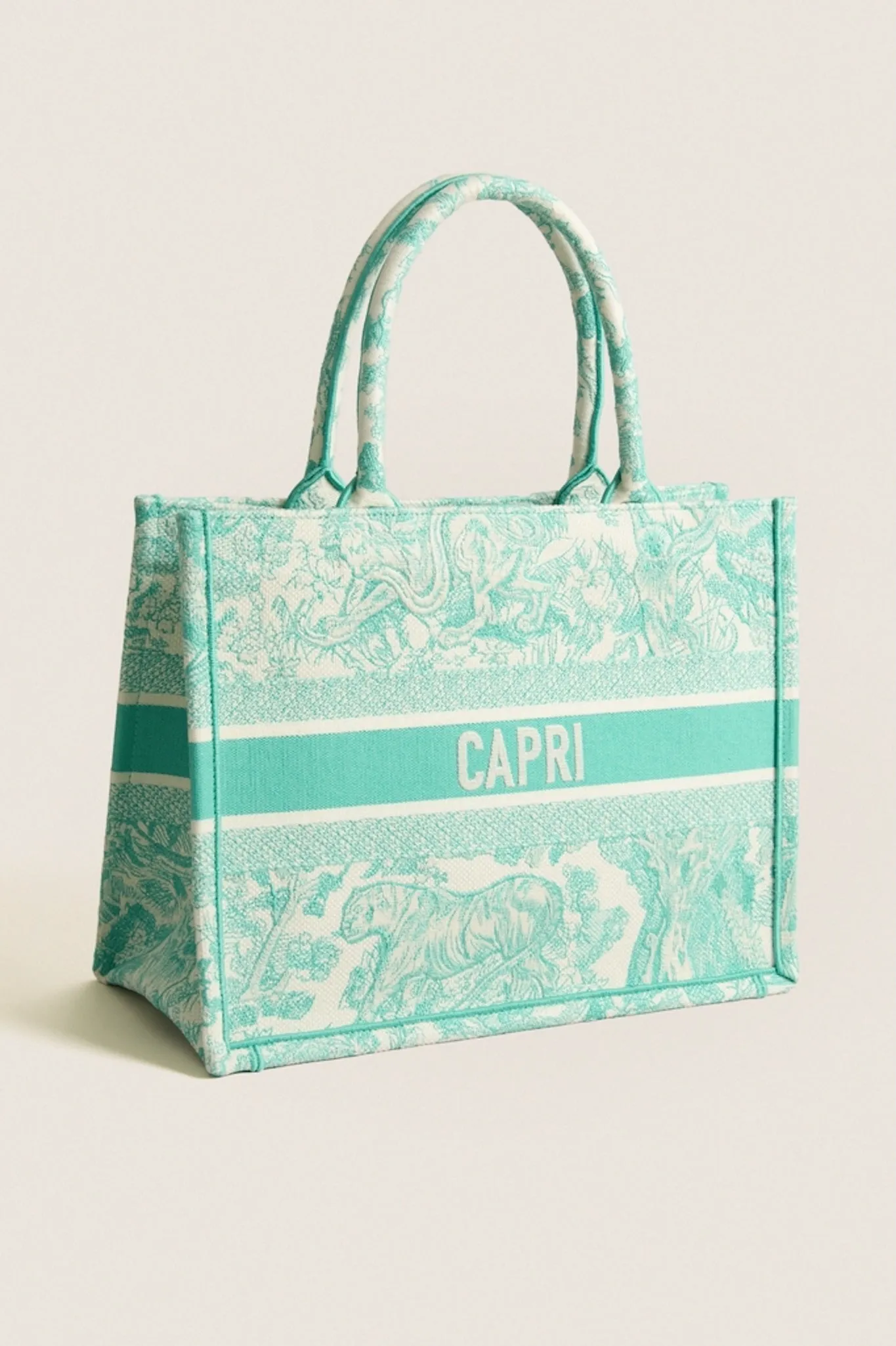 DIOR Aquamarina Canvas Embroidered Medium Dioriviera Toile De Jouy Book Tote sold by Tuckernuck product image thumbnail 4