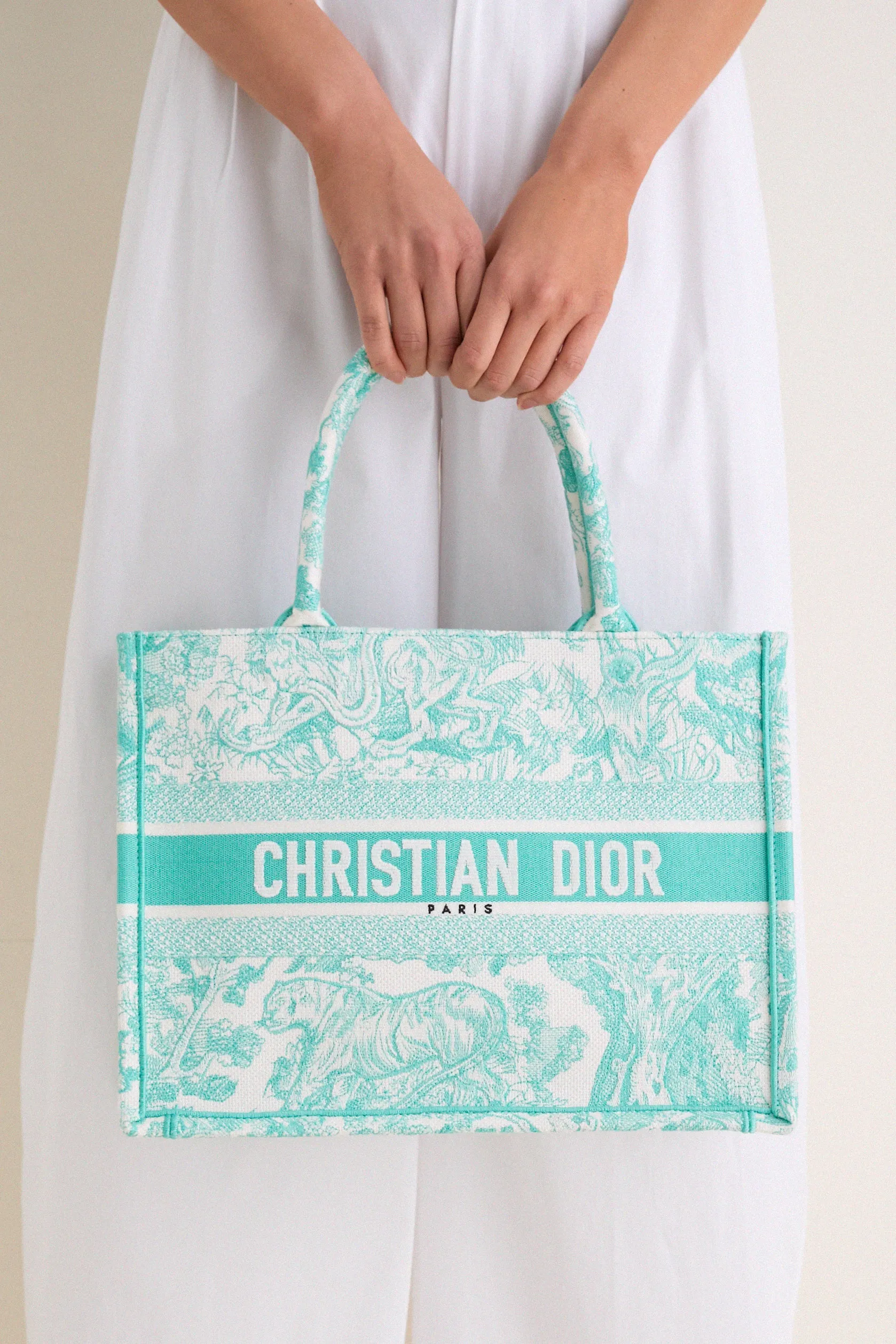 DIOR Aquamarina Canvas Embroidered Medium Dioriviera Toile De Jouy Book Tote sold by Tuckernuck product image thumbnail 2