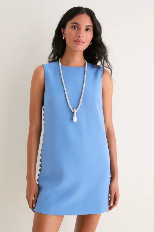 Allure Camille Mini Dress made by Tuckernuck