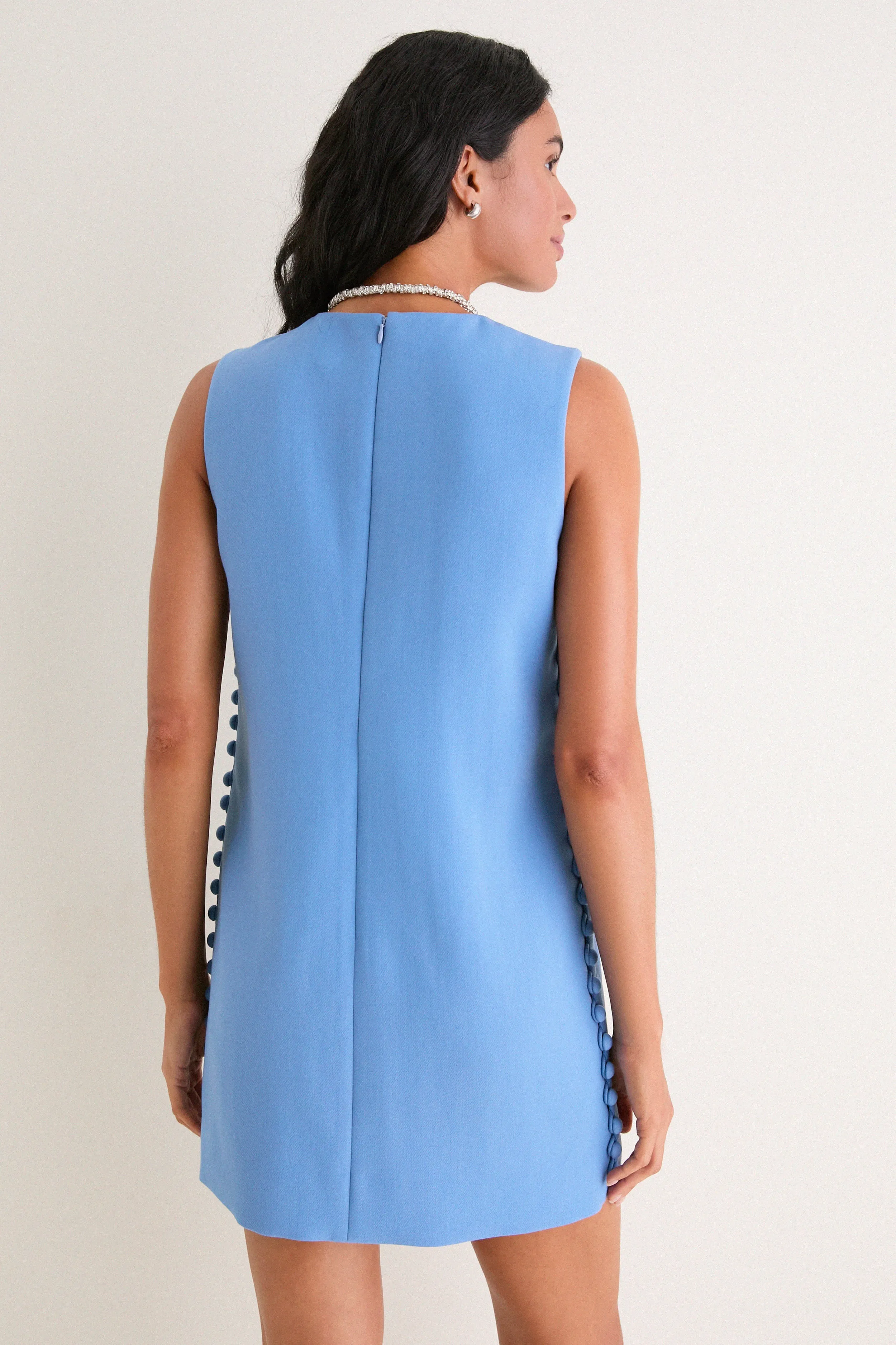 Allure Camille Mini Dress sold by Tuckernuck product image thumbnail 4