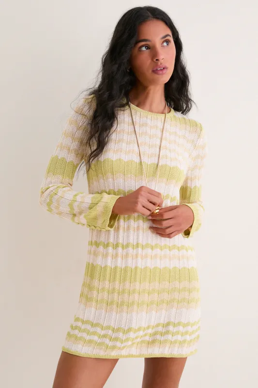 Limoncello Edie Mini Dress made by Tuckernuck