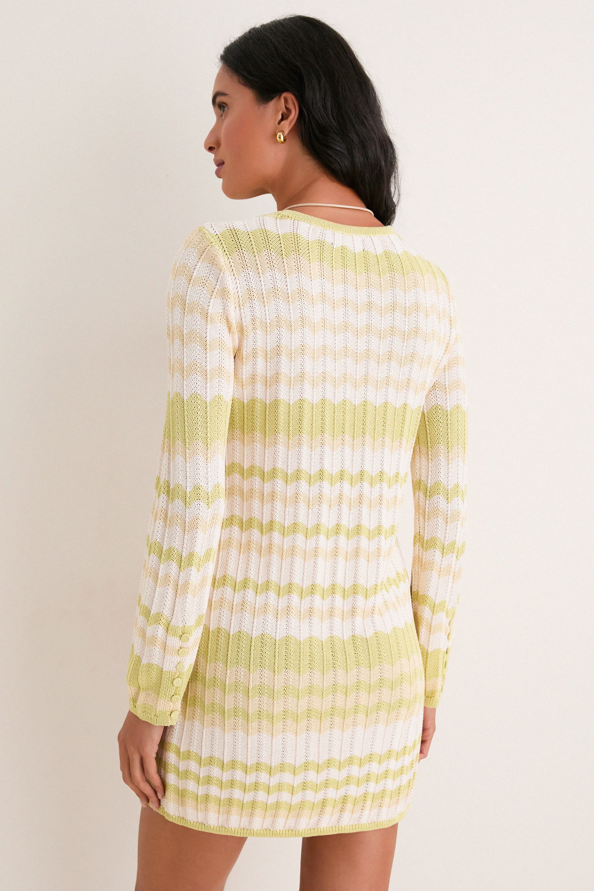 Limoncello Edie Mini Dress sold by Tuckernuck product image thumbnail 4