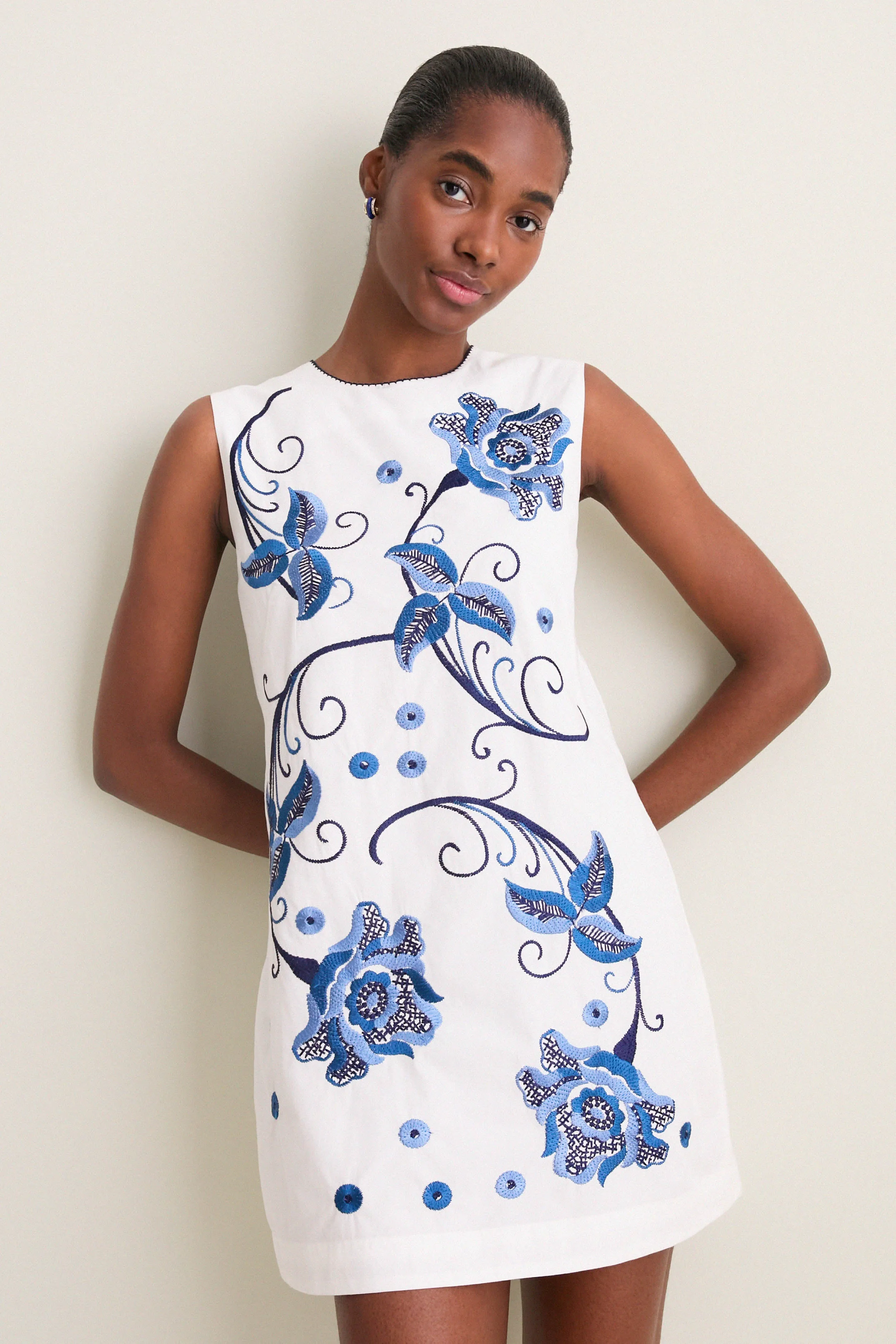 Kimber Embroidery Tiffany Mini Dress sold by Tuckernuck