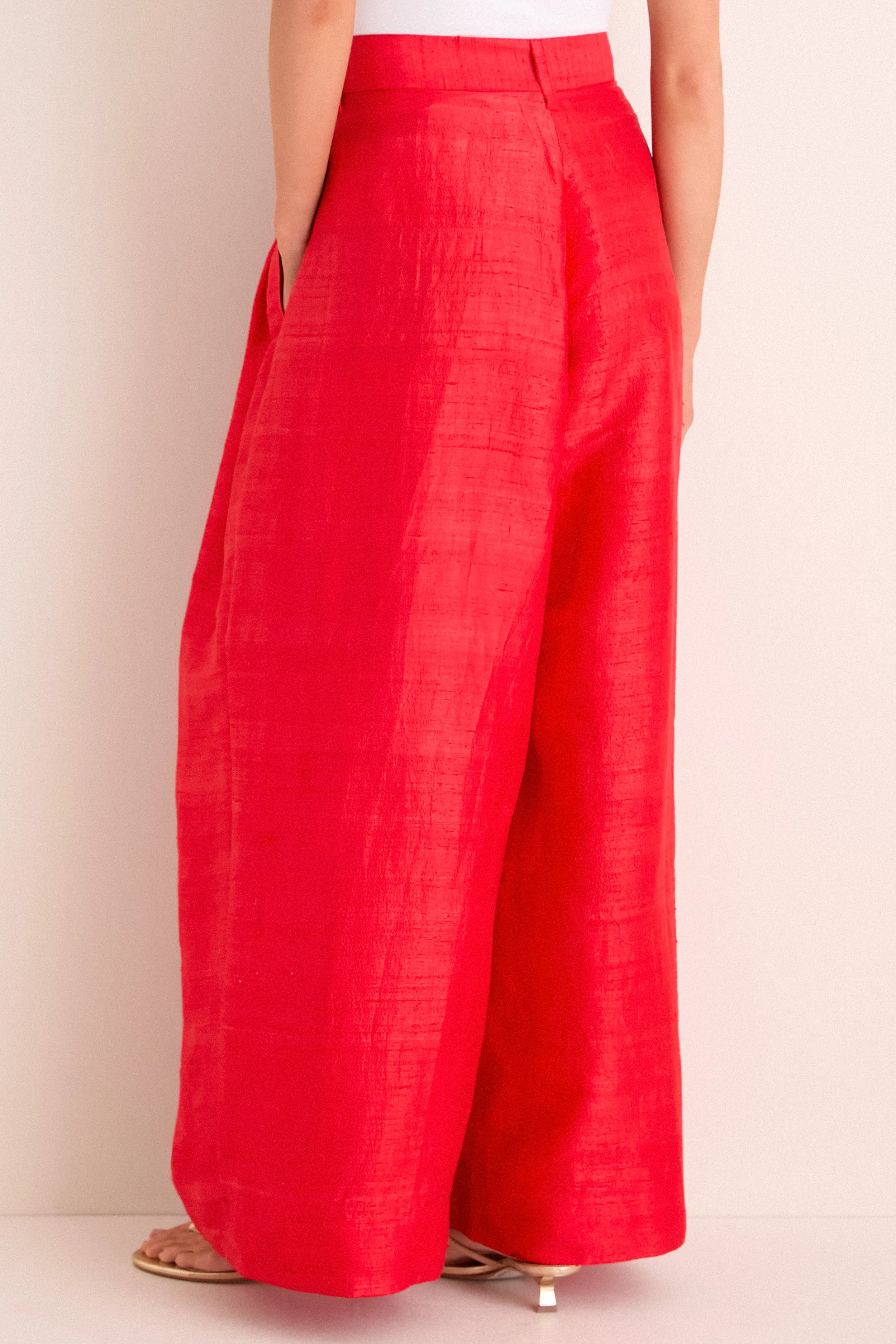Taffy Banyan Pleated Snap Pant sold by Tuckernuck product image thumbnail 5