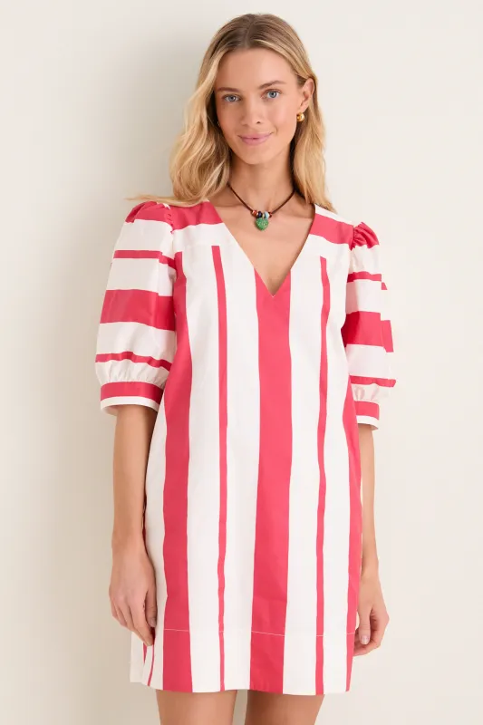 Carousel Stripe Mica Mini Dress made by Tuckernuck