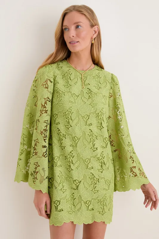 Olive Lace Livvy Mini Dress made by Hyacinth House