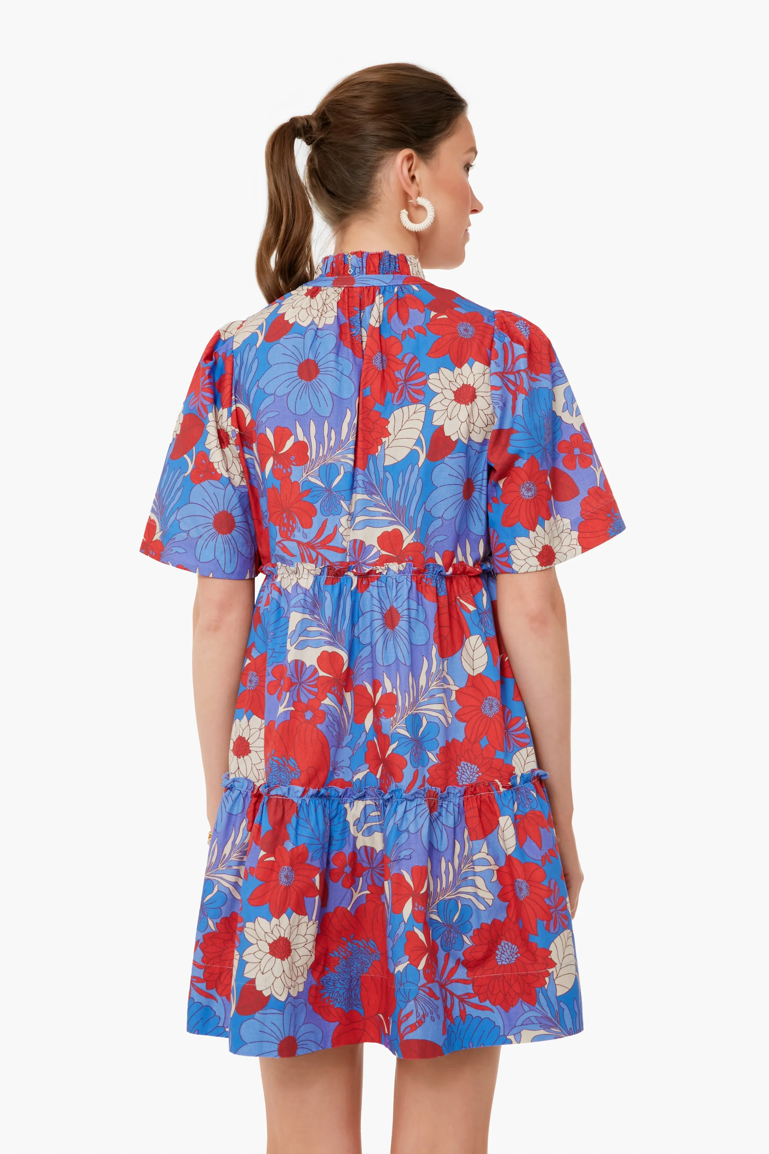 Blue Rhapsody Crawford Dress sold by Tuckernuck product image thumbnail 4