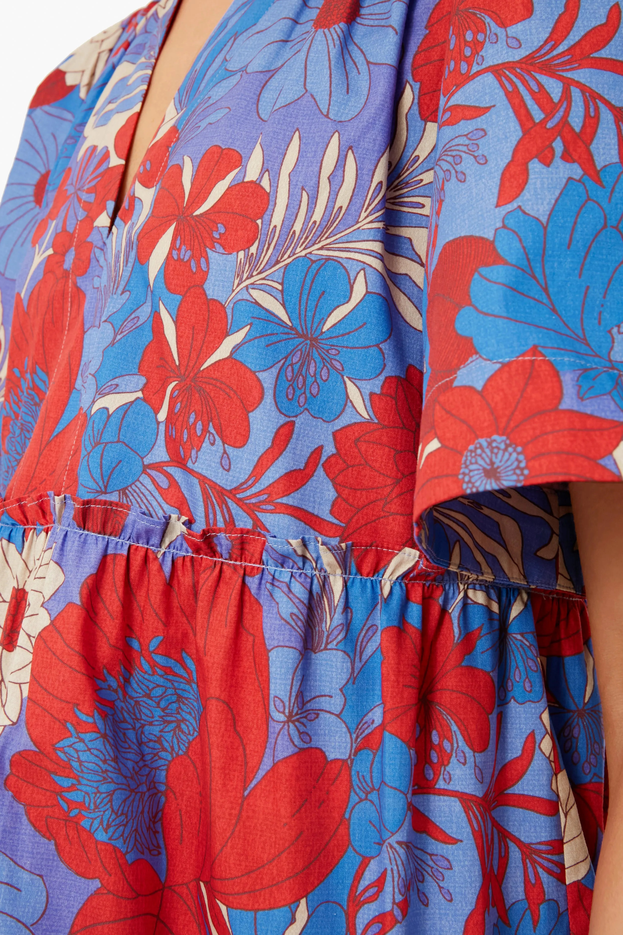 Blue Rhapsody Crawford Dress sold by Tuckernuck product image thumbnail 5