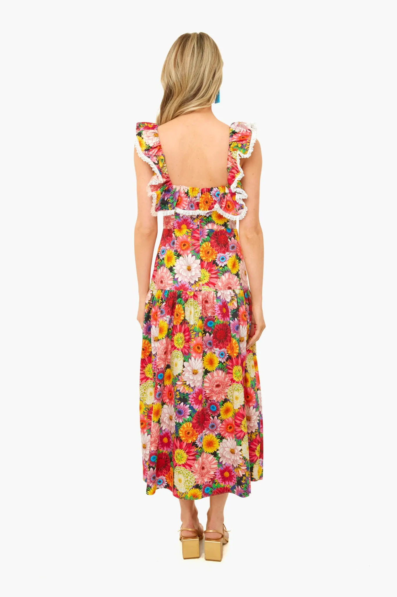 Jessie Over The Moon Dress sold by Tuckernuck product image thumbnail 4