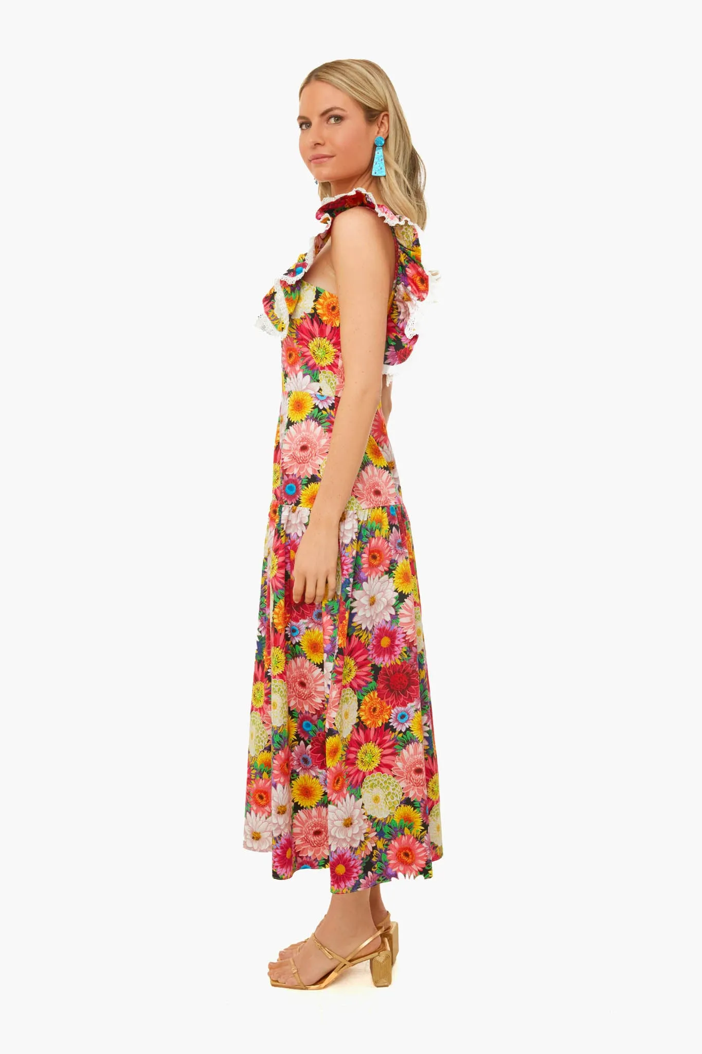 Jessie Over The Moon Dress sold by Tuckernuck product image thumbnail 3