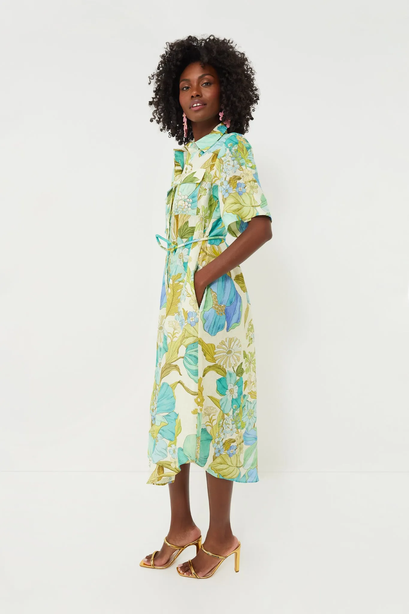 Blue Janis Shirtdress sold by Tuckernuck product image thumbnail 3