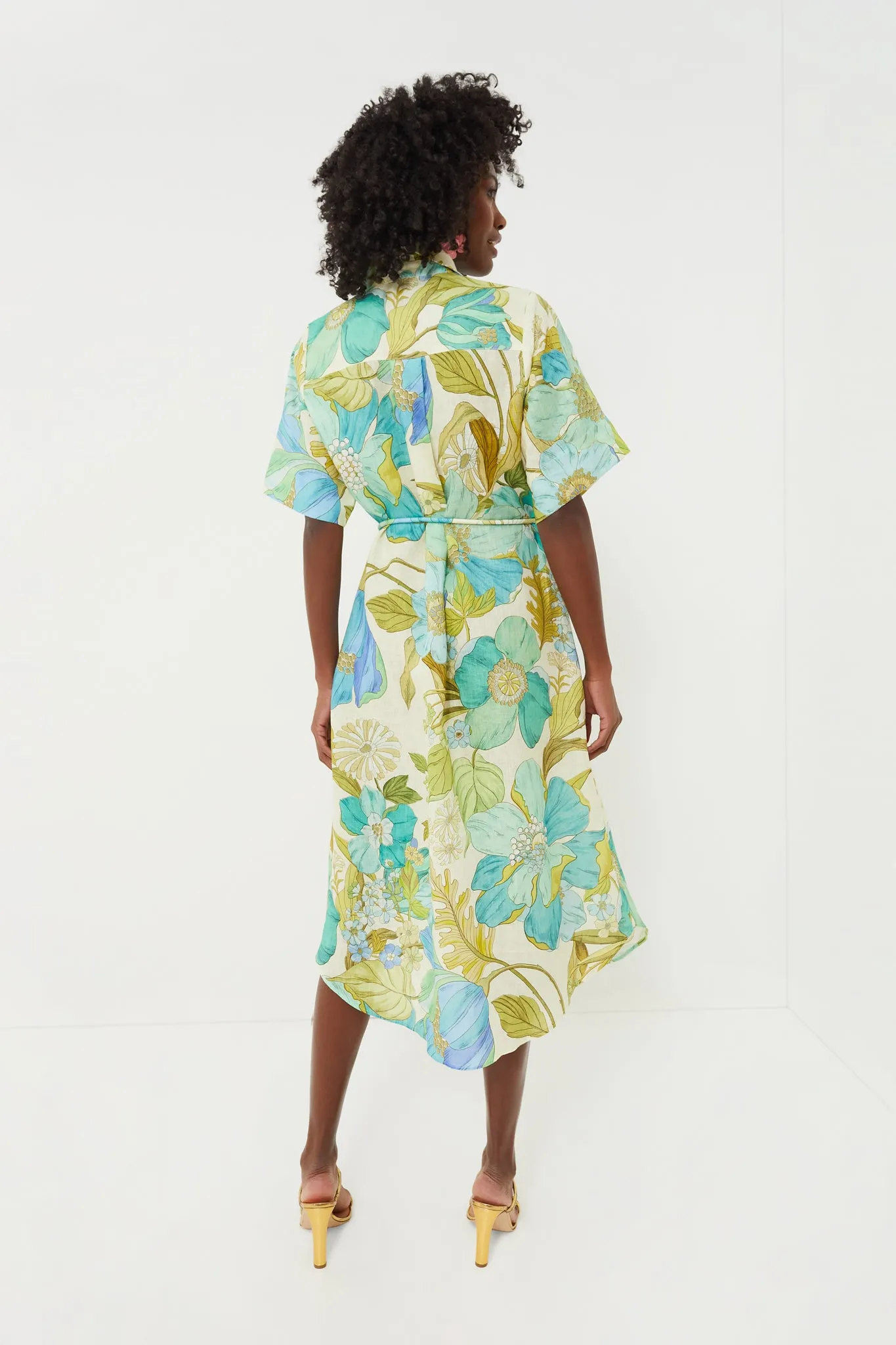 Blue Janis Shirtdress sold by Tuckernuck product image thumbnail 4