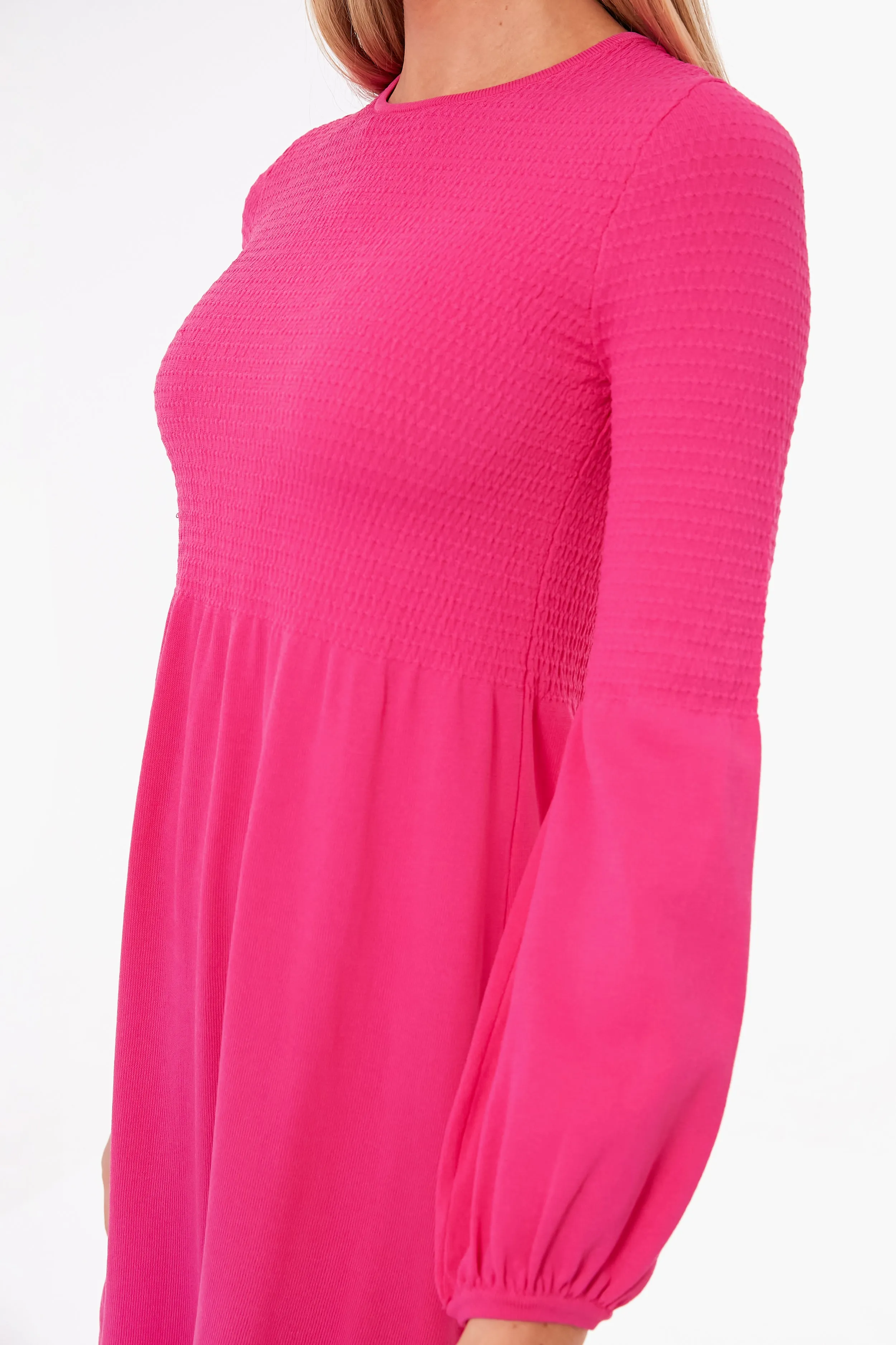 Pink Lennox Mini Dress sold by Tuckernuck product image thumbnail 5