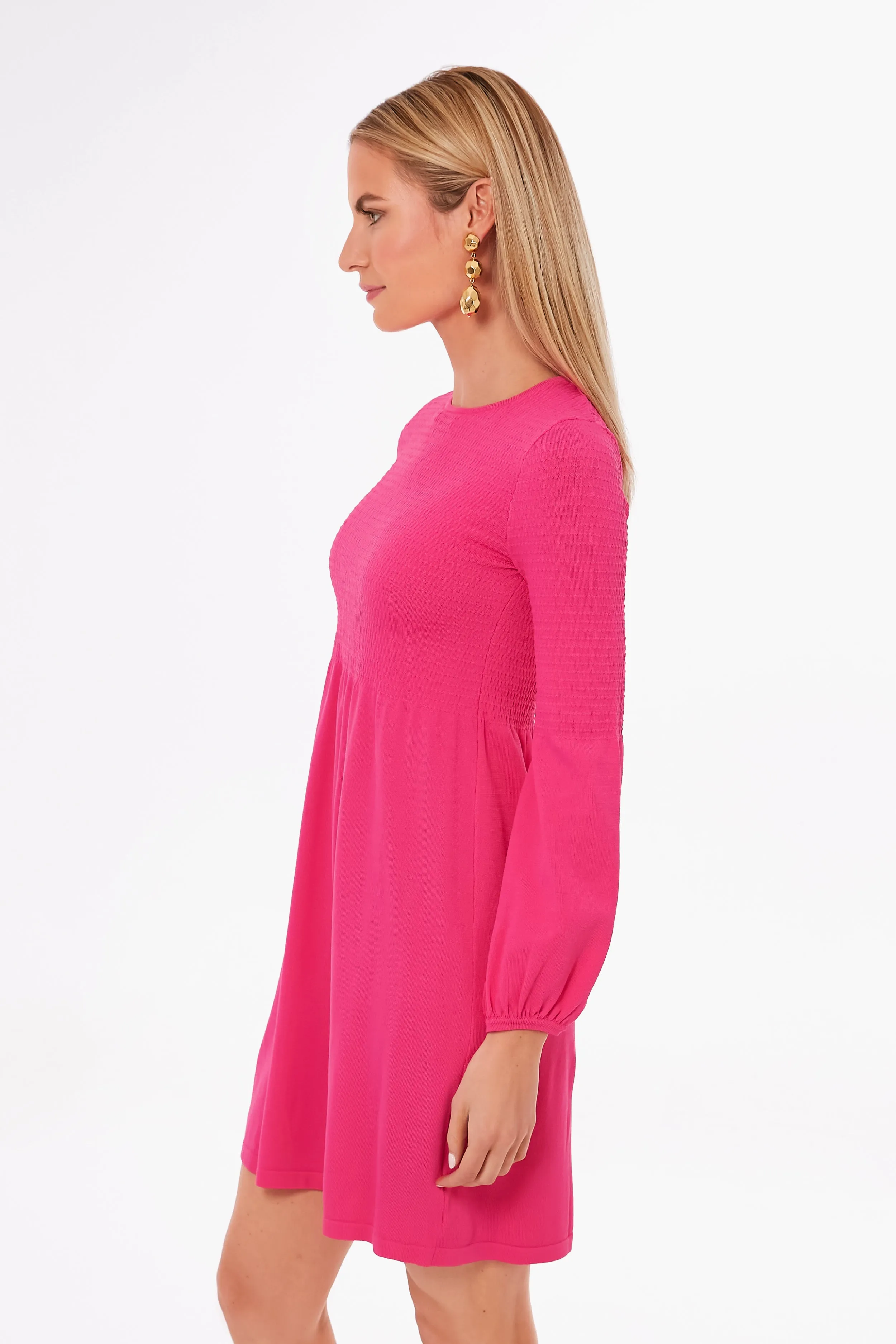 Pink Lennox Mini Dress sold by Tuckernuck product image thumbnail 3