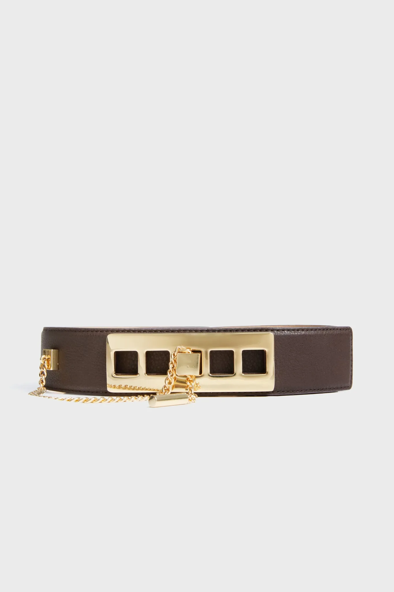 Chocolate and Gold Colette Belt sold by Tuckernuck