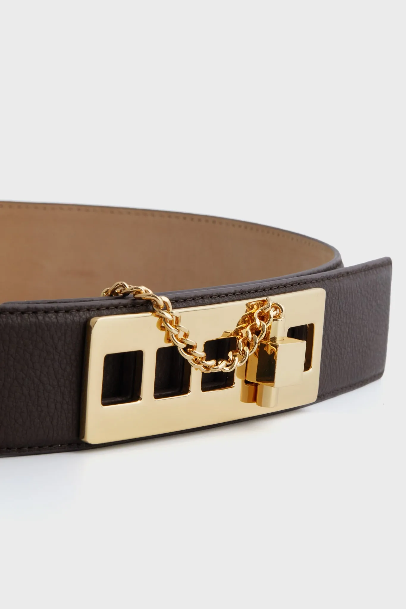 Chocolate and Gold Colette Belt sold by Tuckernuck product image thumbnail 4