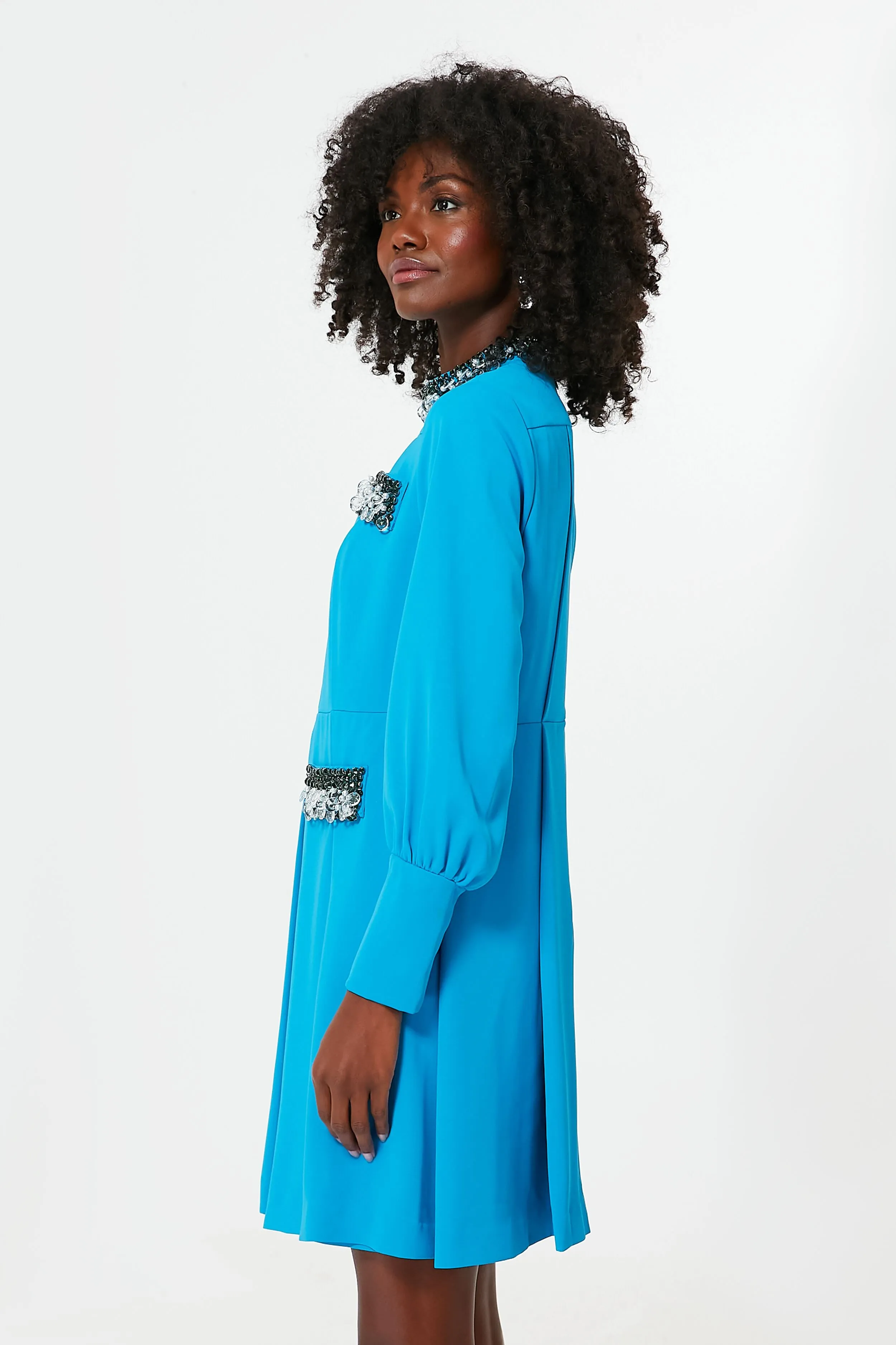 Bright Blue Hoyt Dress sold by Tuckernuck product image thumbnail 3