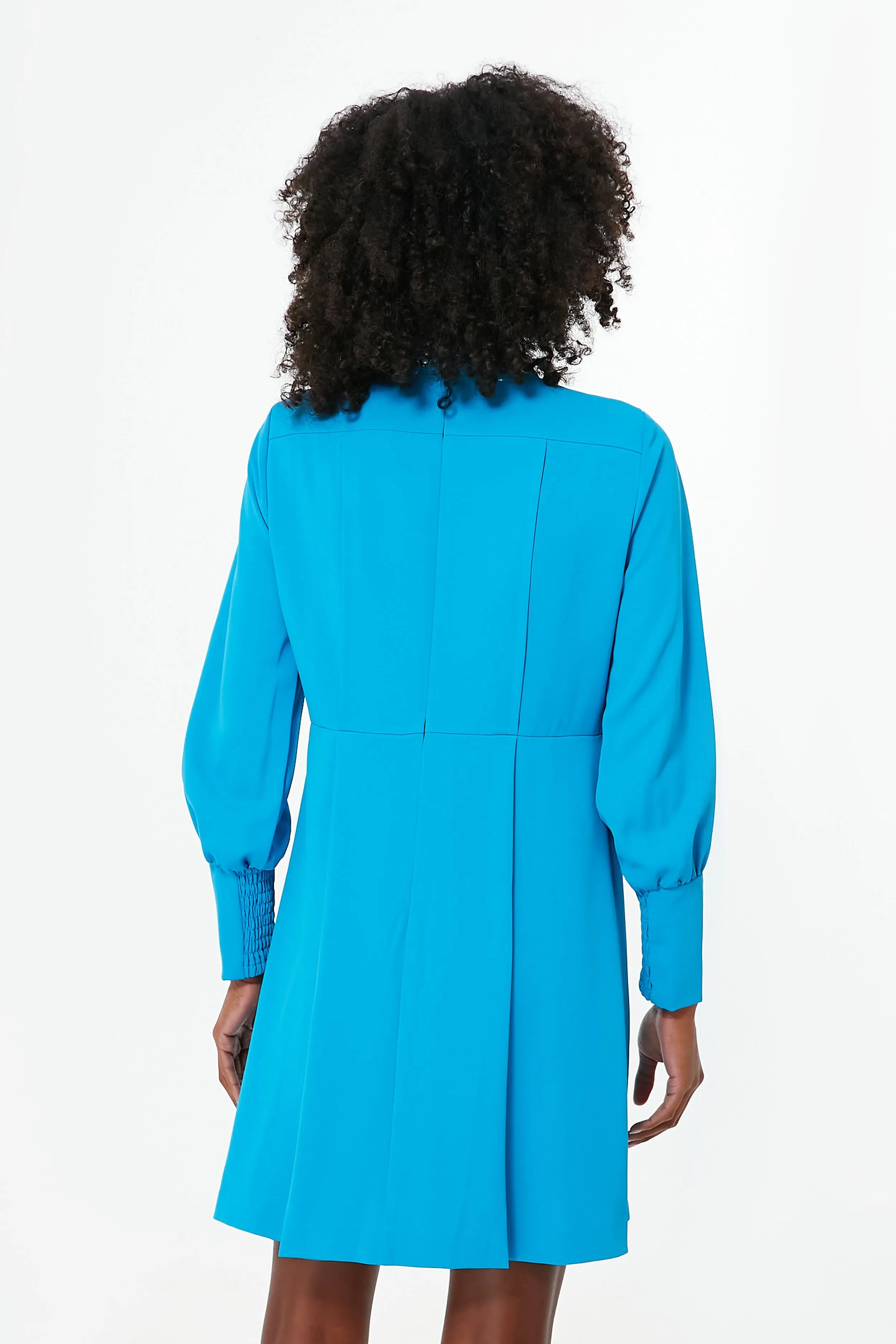 Bright Blue Hoyt Dress sold by Tuckernuck product image thumbnail 4