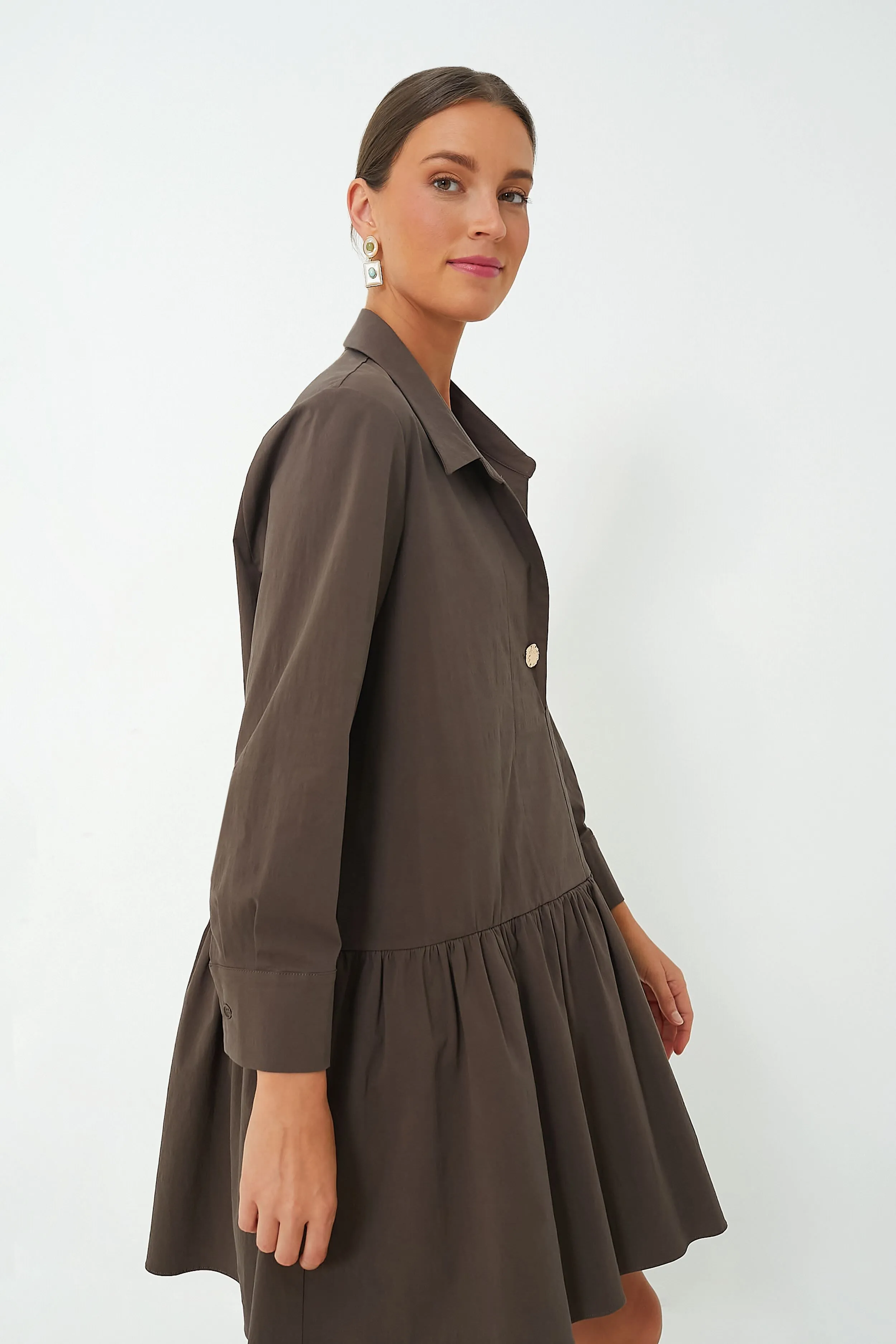 Cocoa Brown Cleia Dress sold by Tuckernuck product image thumbnail 2