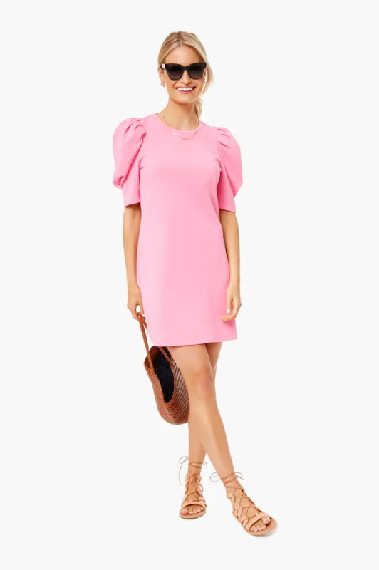 Pink Stella Dress sold by Tuckernuck