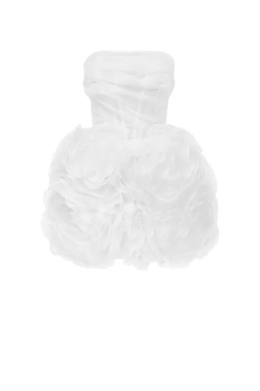 Appliquéd organza white mini dress sold by Milla