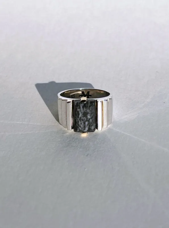 Large Ari Ring in Speckled Black Agate, Sz. 9 sold by Maiden Name