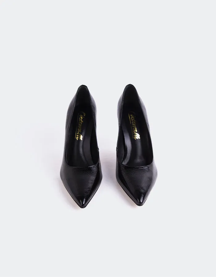 Gazania Black Naplack sold by L'Intervalle product image thumbnail 4