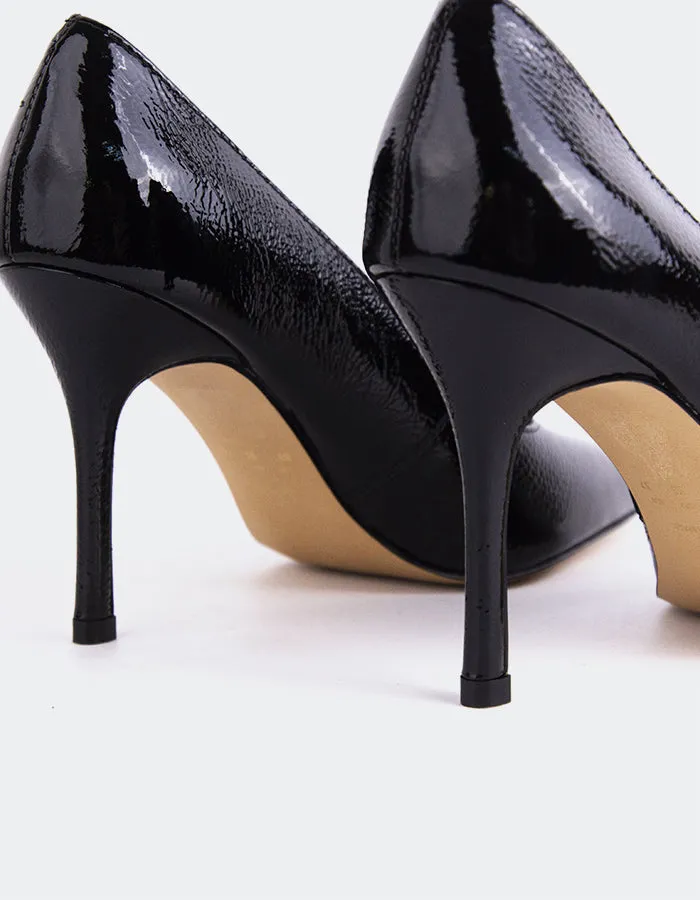 Gazania Black Naplack sold by L'Intervalle product image thumbnail 3