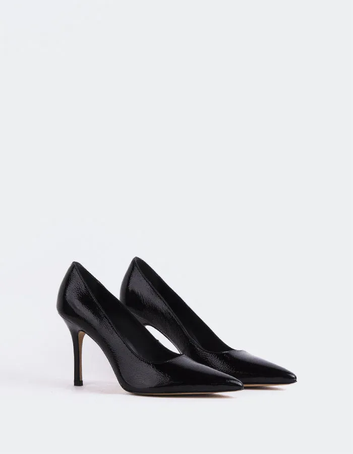 Gazania Black Naplack sold by L'Intervalle product image thumbnail 2