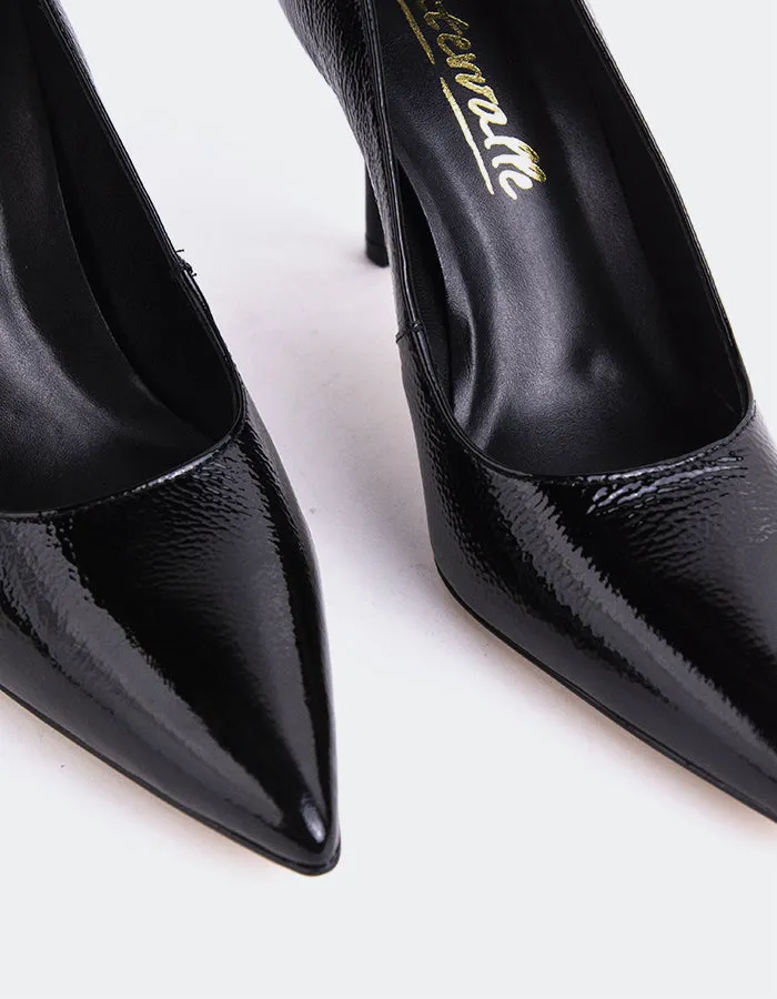 Gazania Black Naplack sold by L'Intervalle product image thumbnail 5