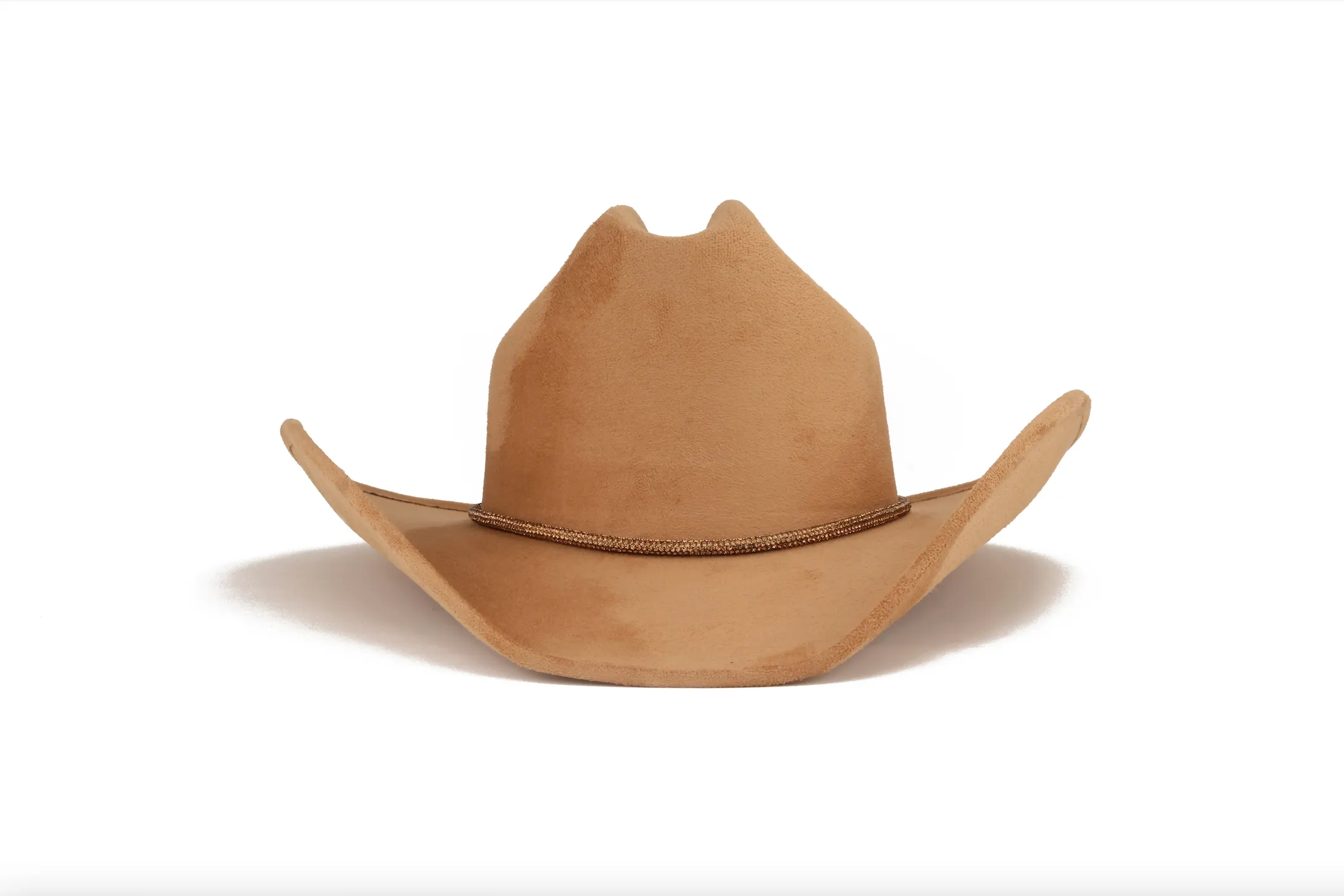 Kenny- Camel sold by ASN