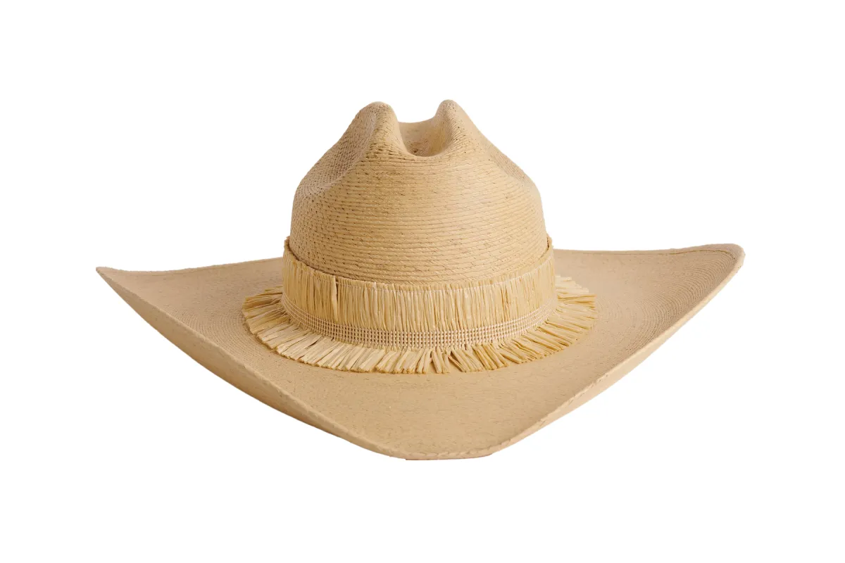 Yucca- Light sold by ASN