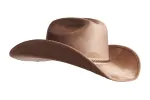 Nomad sold by ASN