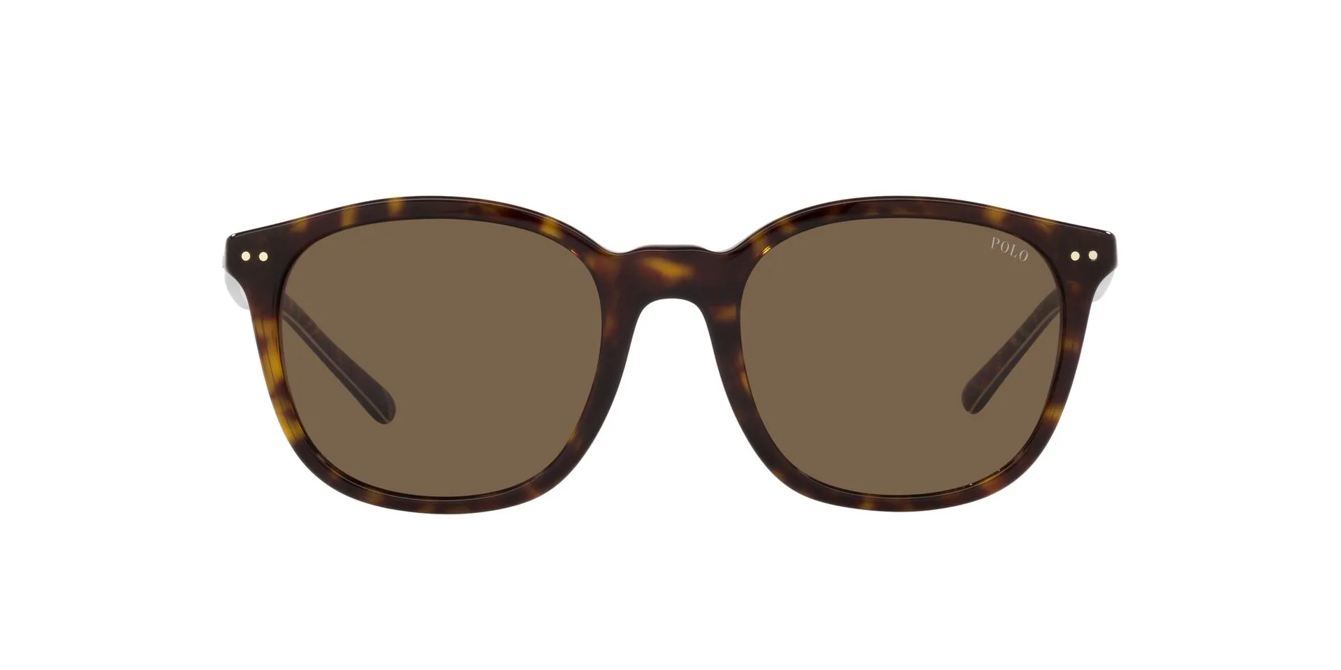 Polo Ralph Lauren PH4188 sold by Fashion Eyewear product image thumbnail 5