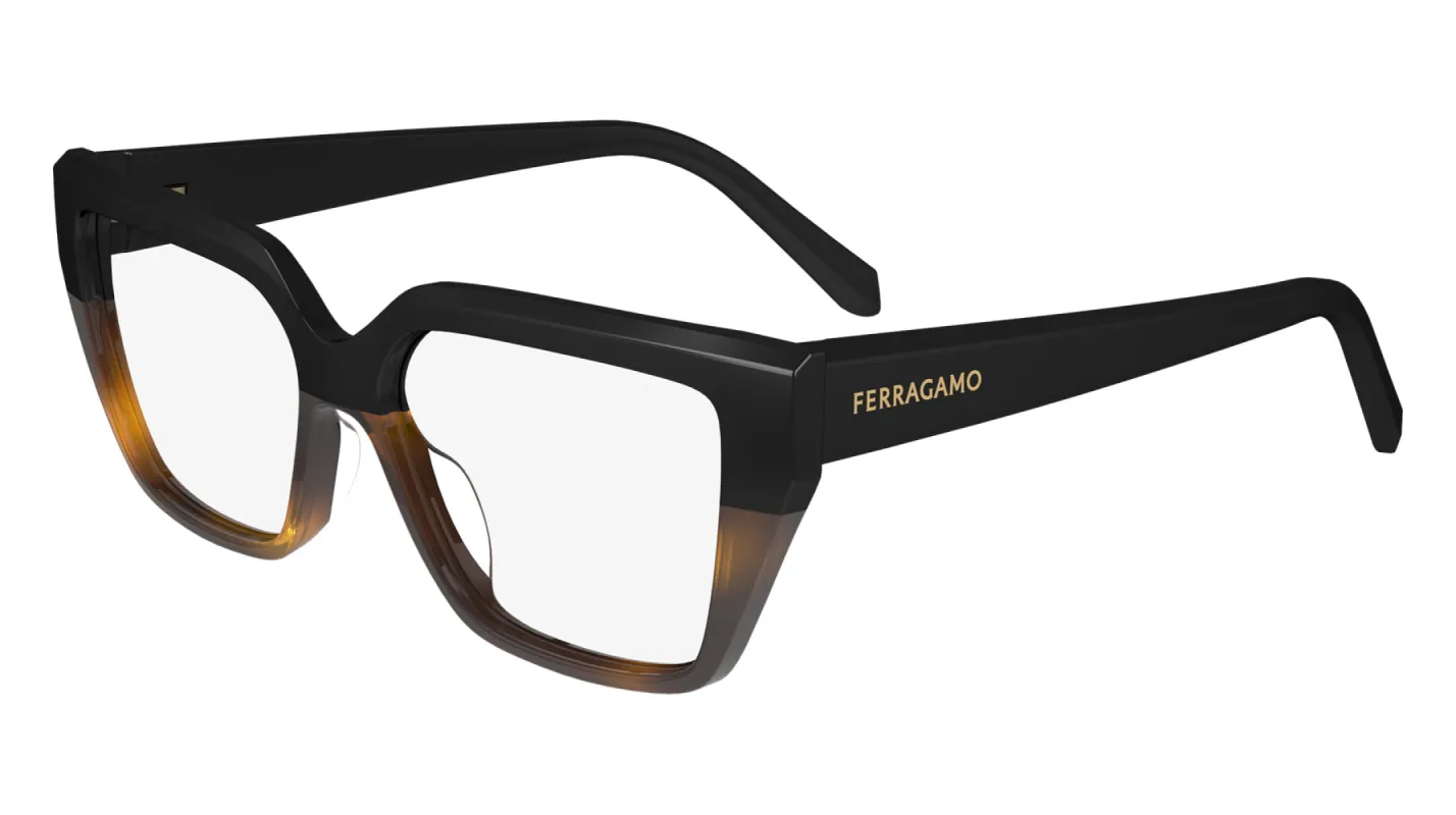Ferragamo SF2971 made by Salvatore Ferragamo