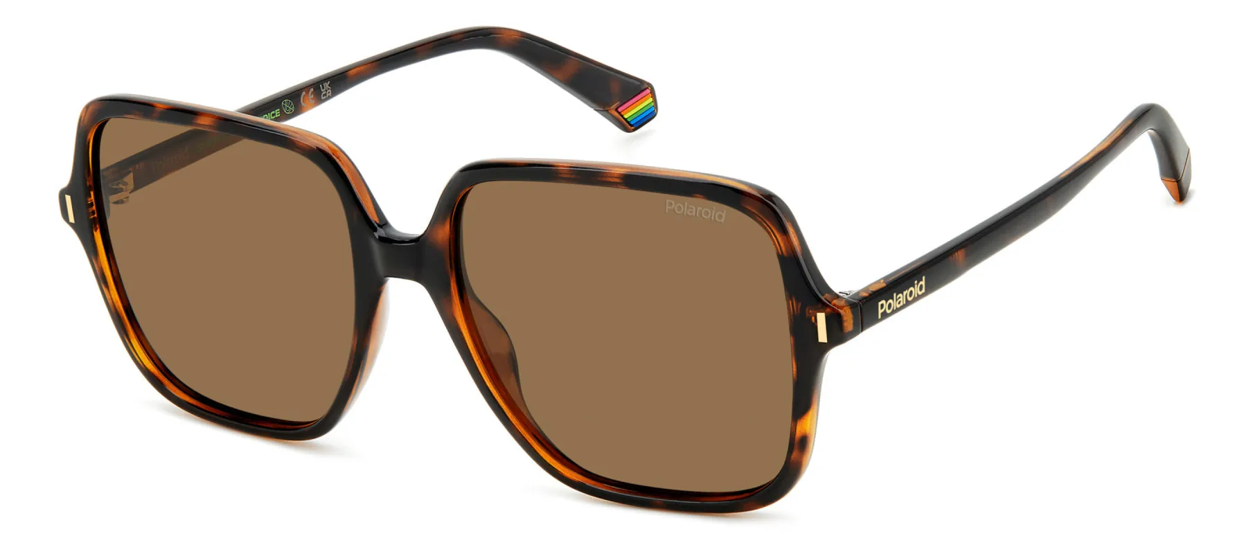 Polaroid PLD 6219/S sold by Fashion Eyewear