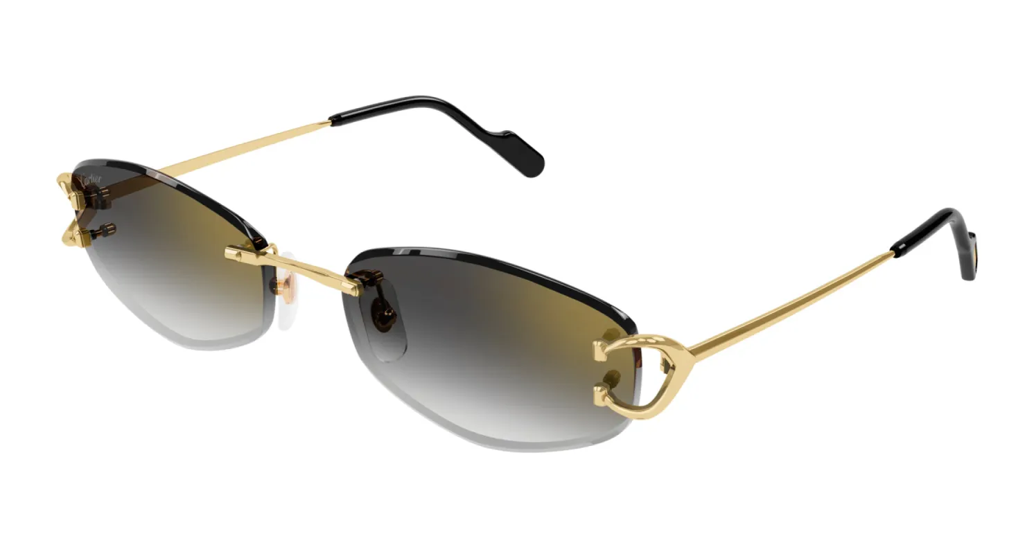 Cartier CT0467S sold by Fashion Eyewear